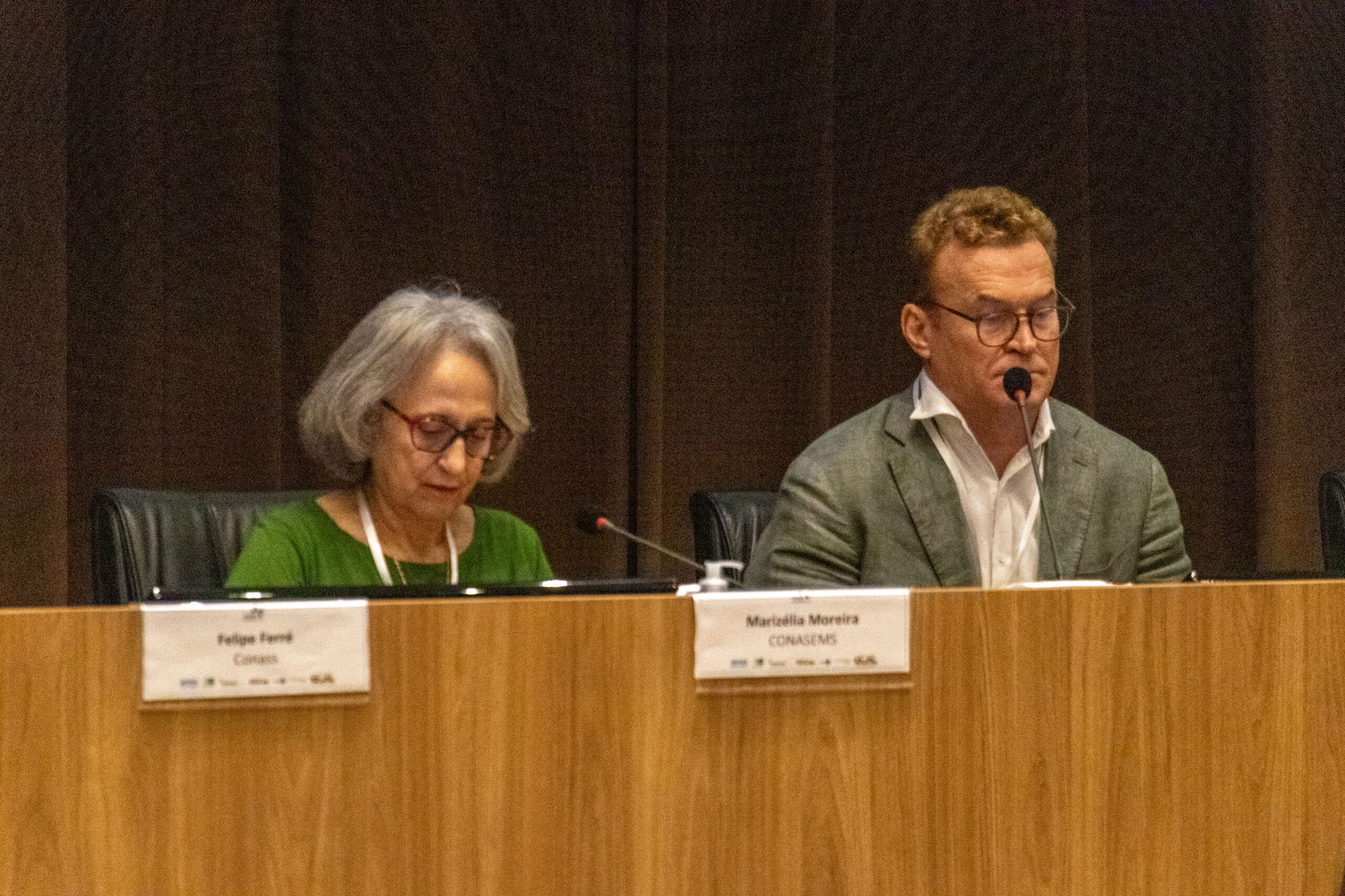 31ª Oficina de Trabalho Interagencial da Ripsa​ - 2024.12.05 e 06