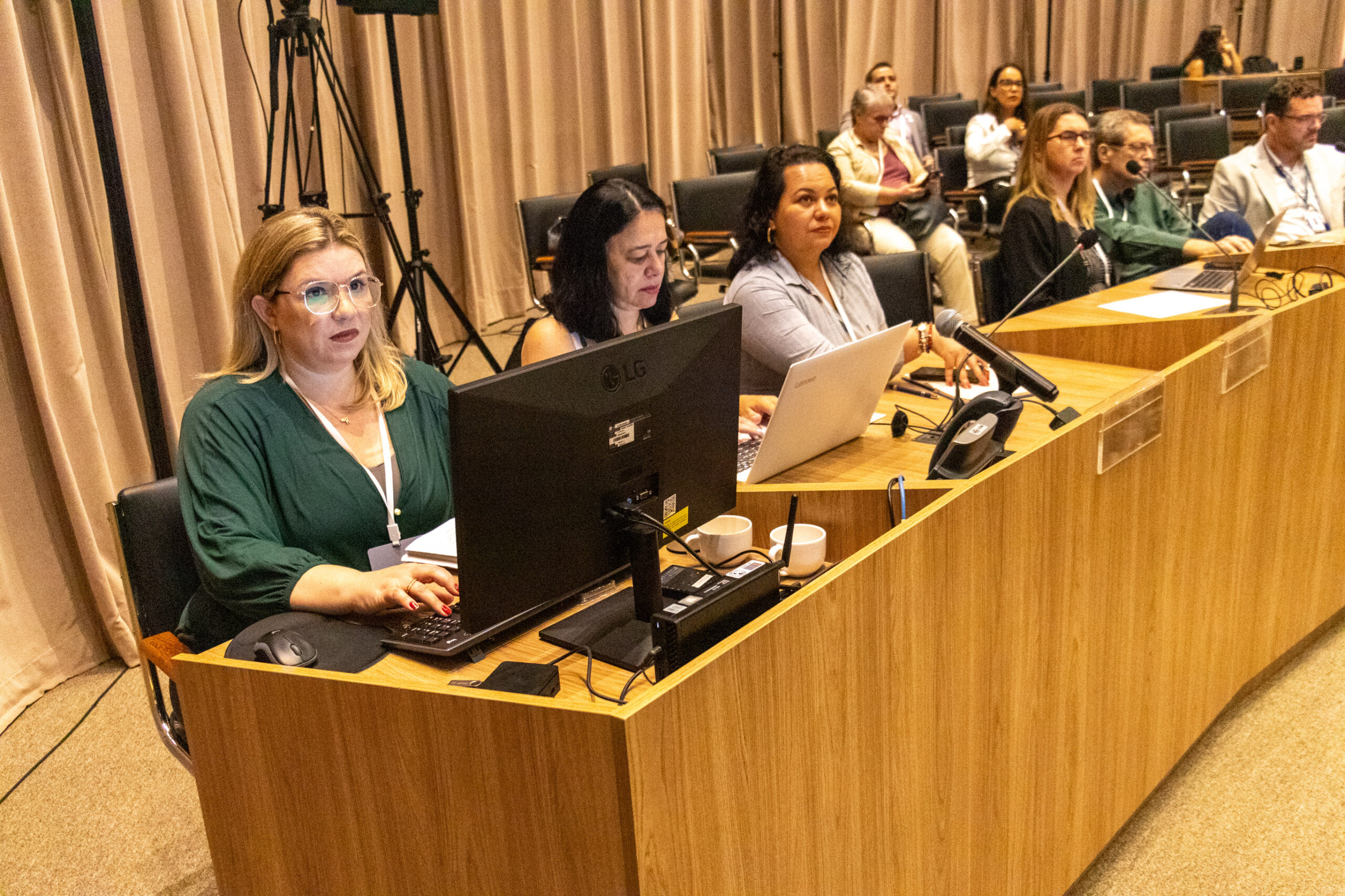 31ª Oficina de Trabalho Interagencial da Ripsa​ - 2024.12.05 e 06