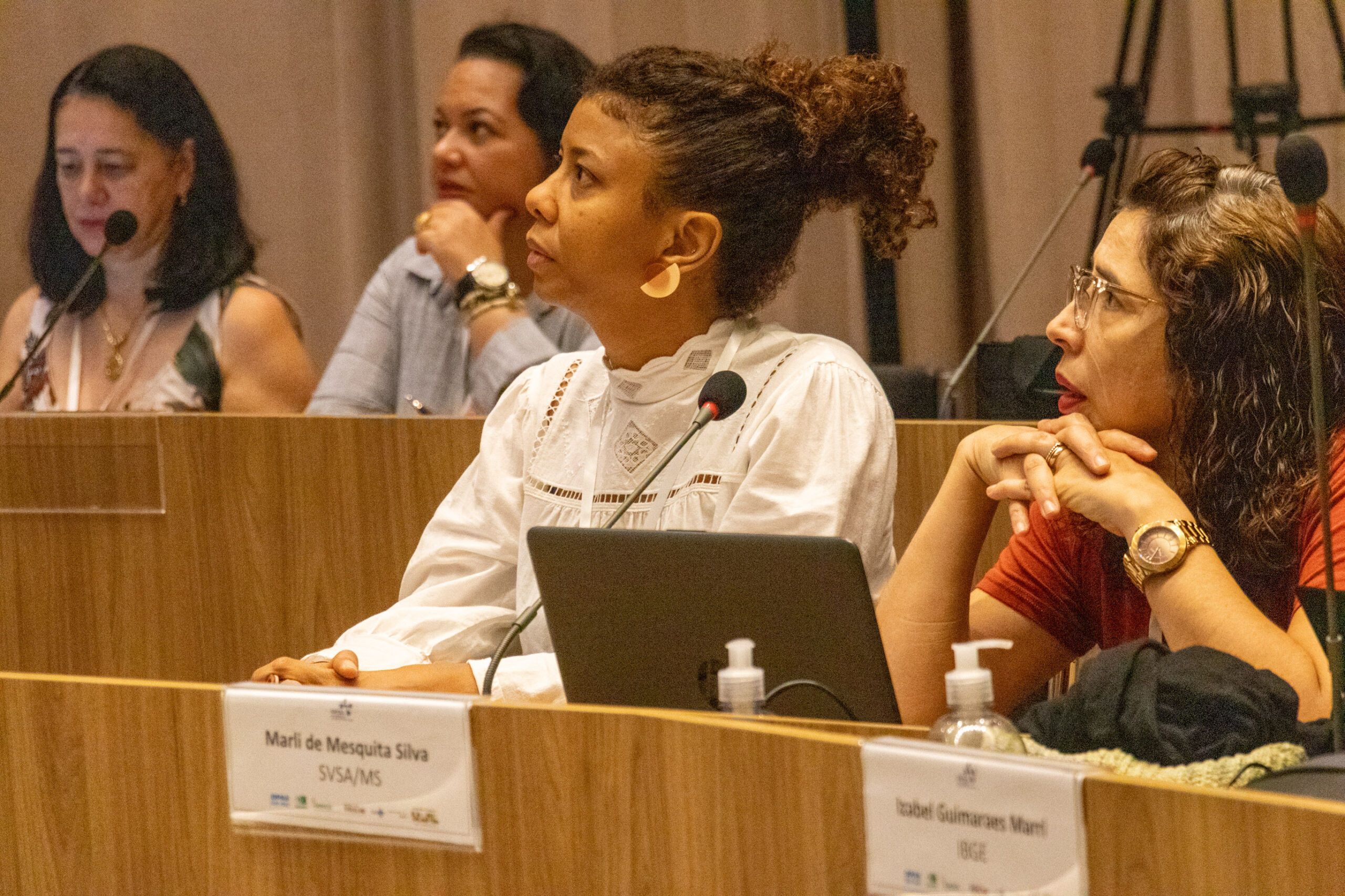 31ª Oficina de Trabalho Interagencial da Ripsa​ - 2024.12.05 e 06