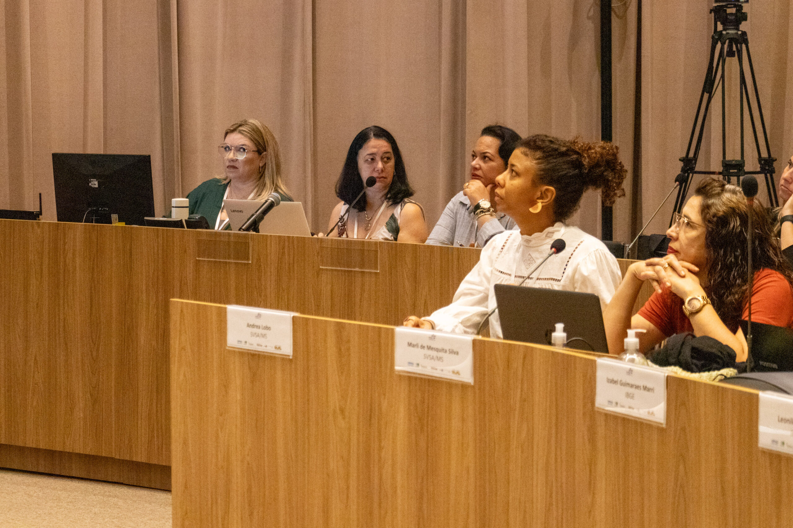 31ª Oficina de Trabalho Interagencial da Ripsa​ - 2024.12.05 e 06