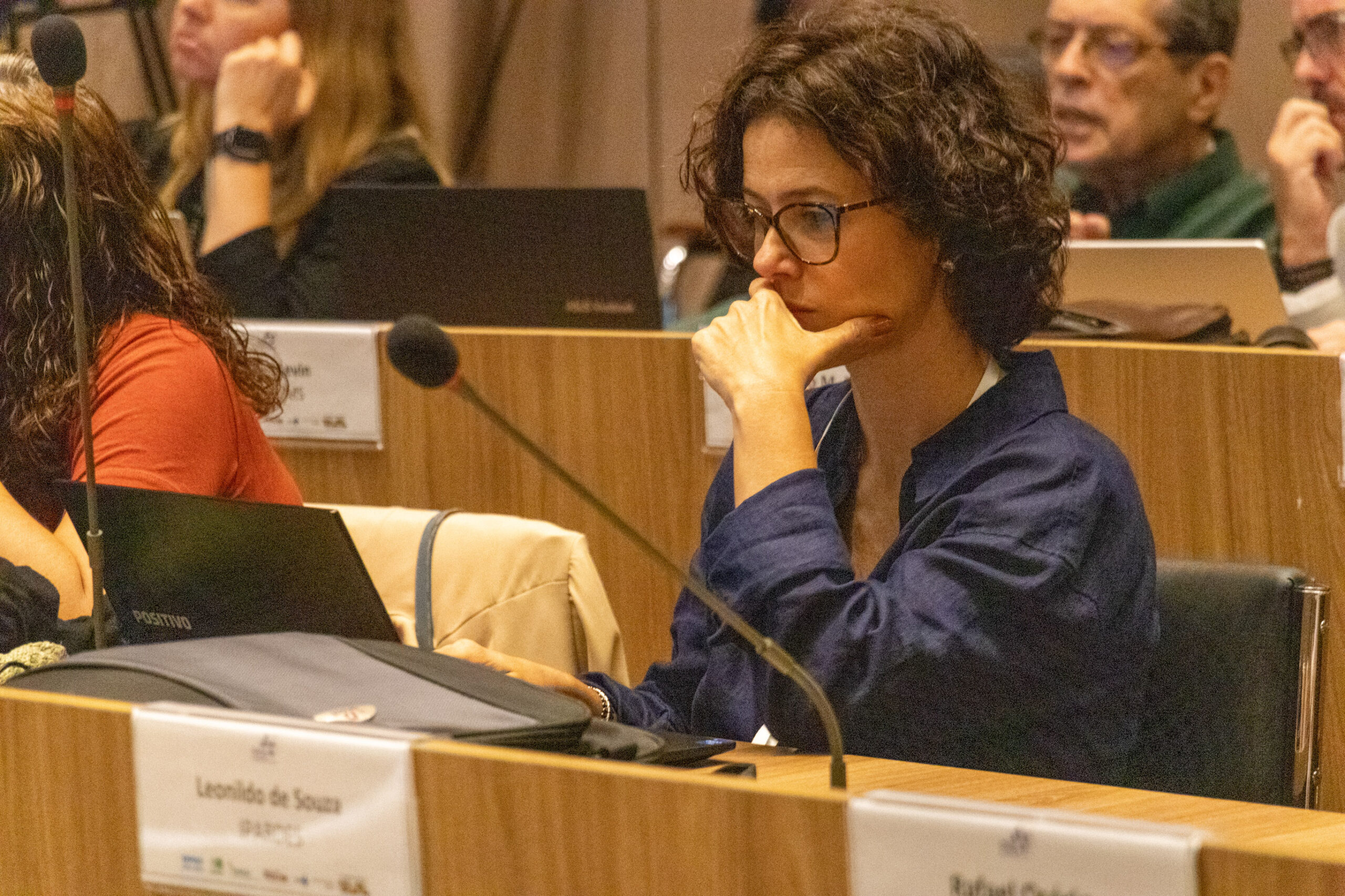 31ª Oficina de Trabalho Interagencial da Ripsa​ - 2024.12.05 e 06