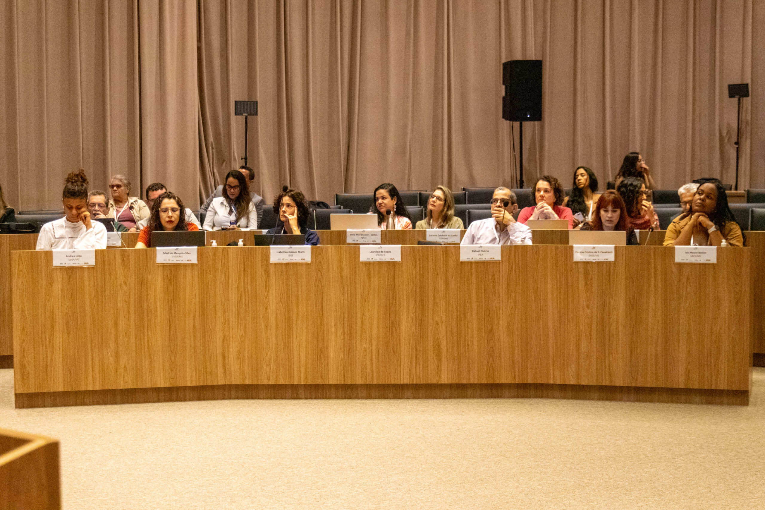 31ª Oficina de Trabalho Interagencial da Ripsa​ - 2024.12.05 e 06