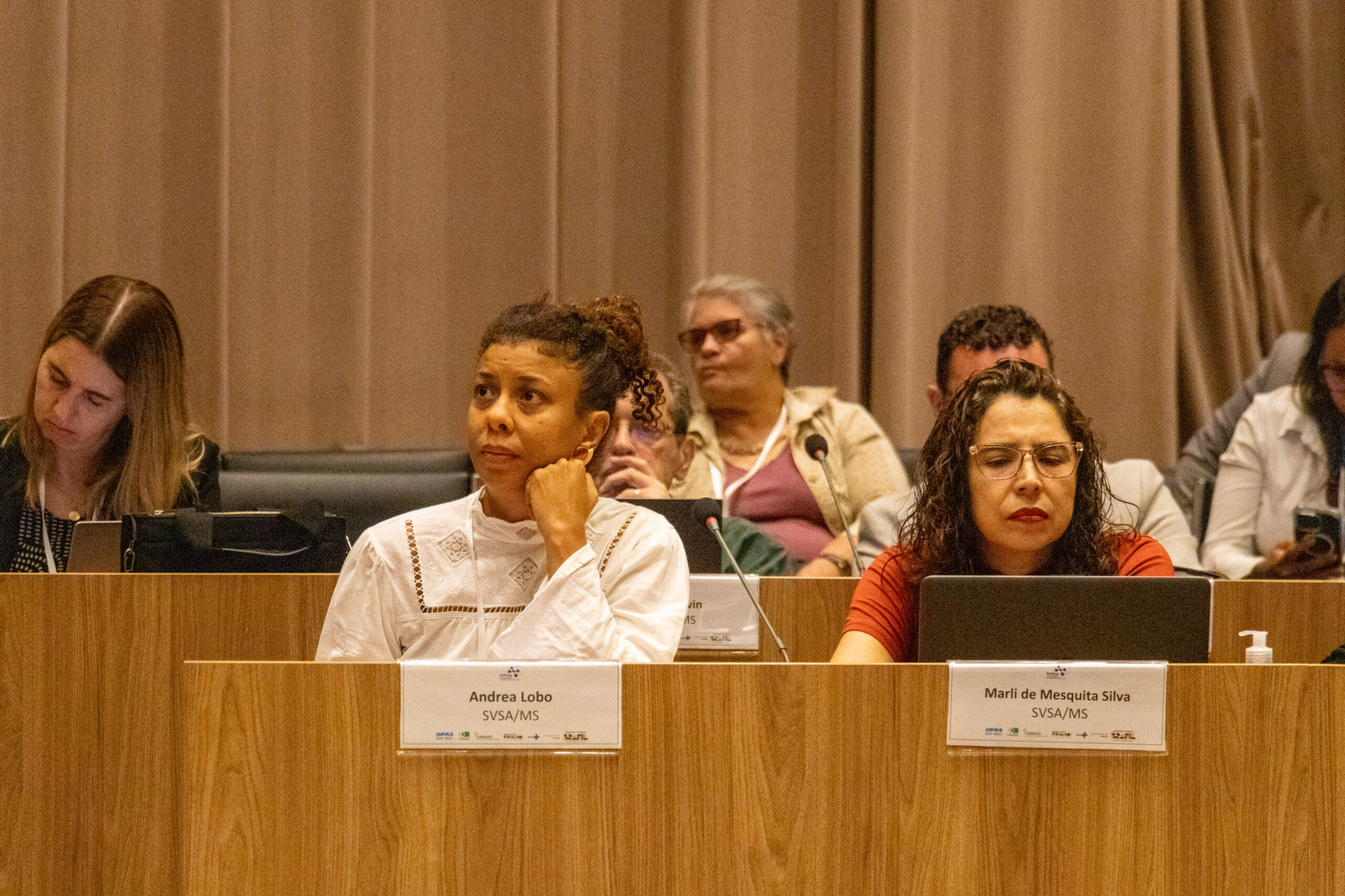 31ª Oficina de Trabalho Interagencial da Ripsa​ - 2024.12.05 e 06