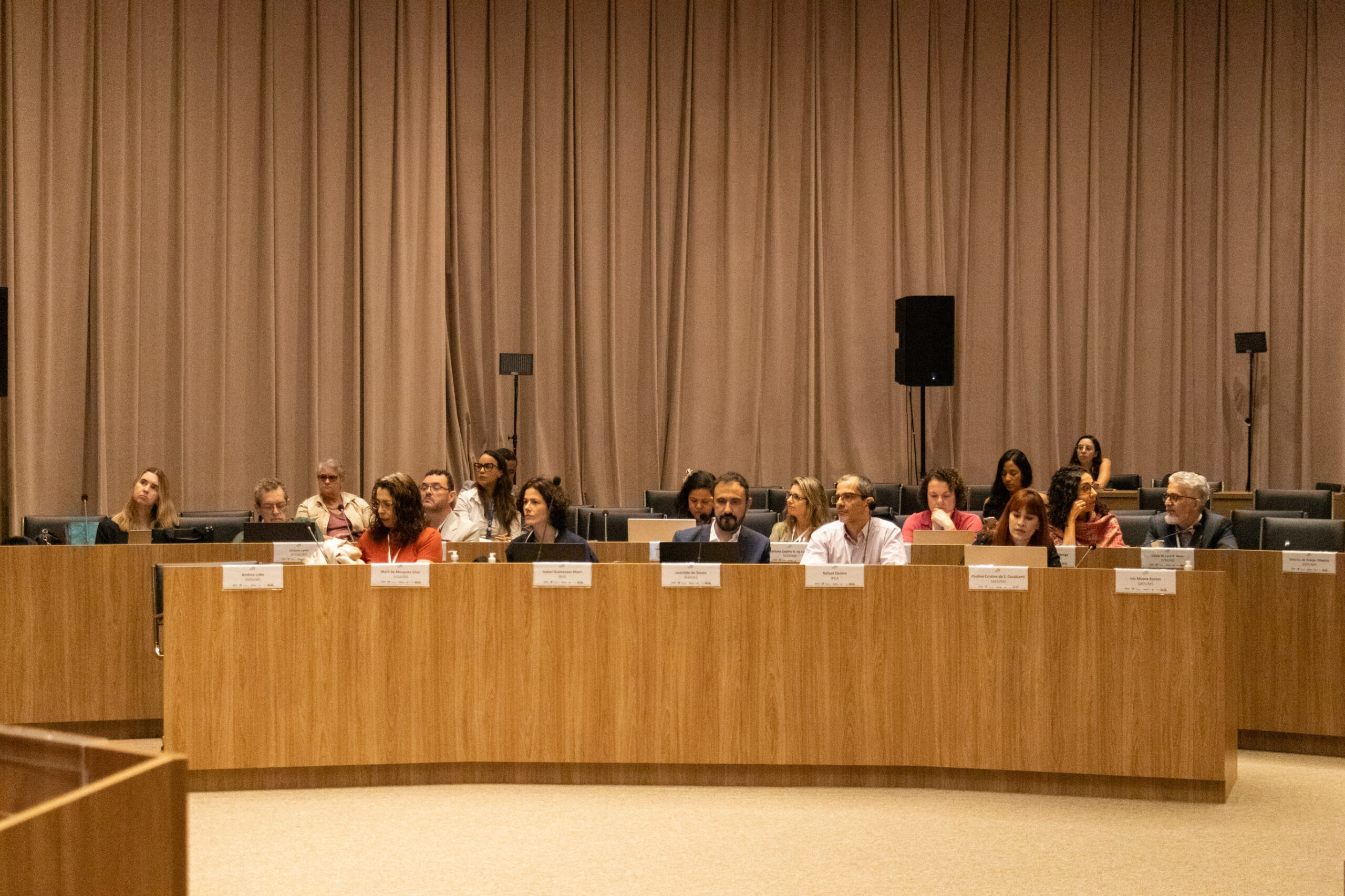 31ª Oficina de Trabalho Interagencial da Ripsa​ - 2024.12.05 e 06