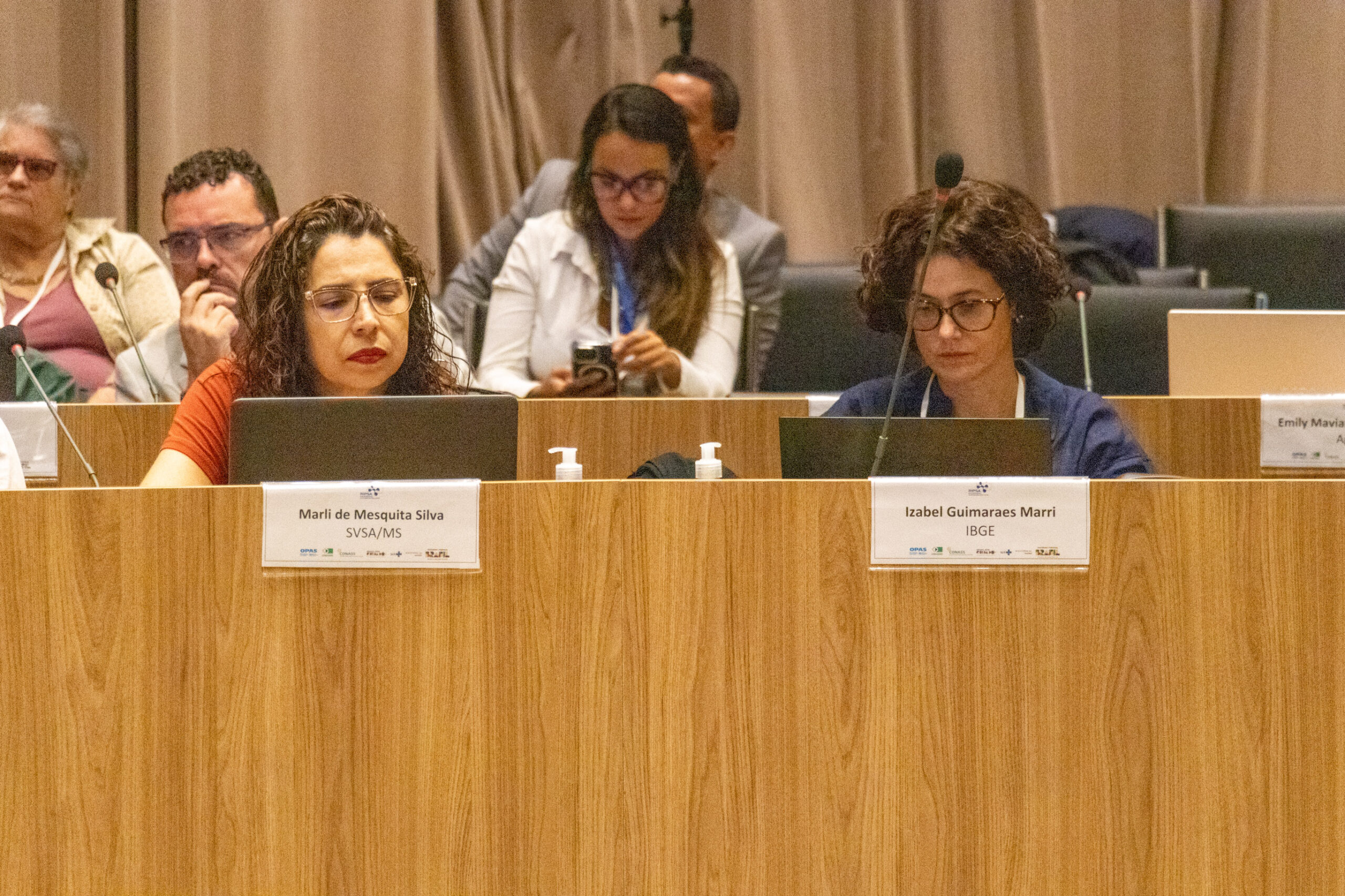 31ª Oficina de Trabalho Interagencial da Ripsa​ - 2024.12.05 e 06