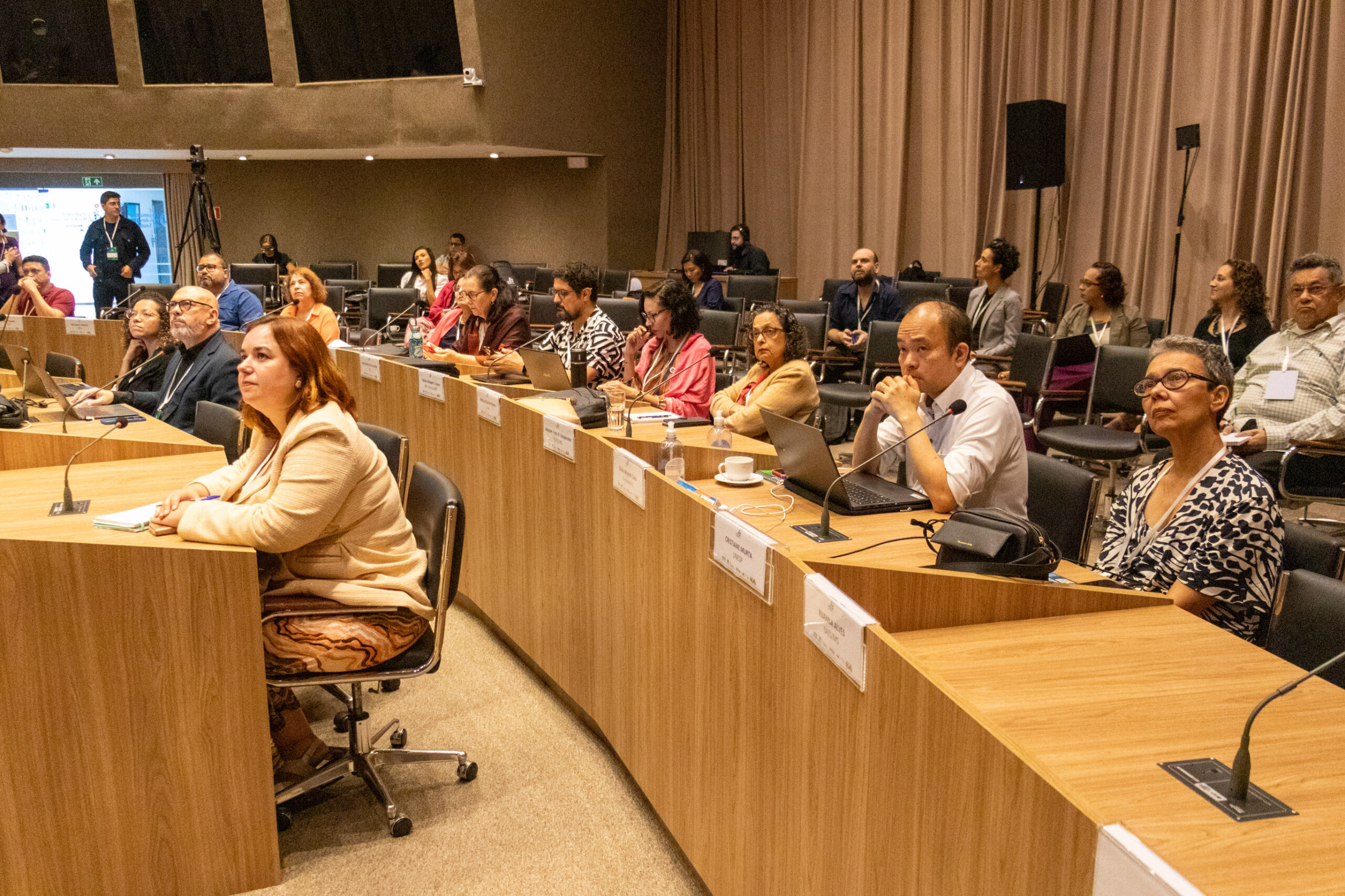 31ª Oficina de Trabalho Interagencial da Ripsa​ - 2024.12.05 e 06