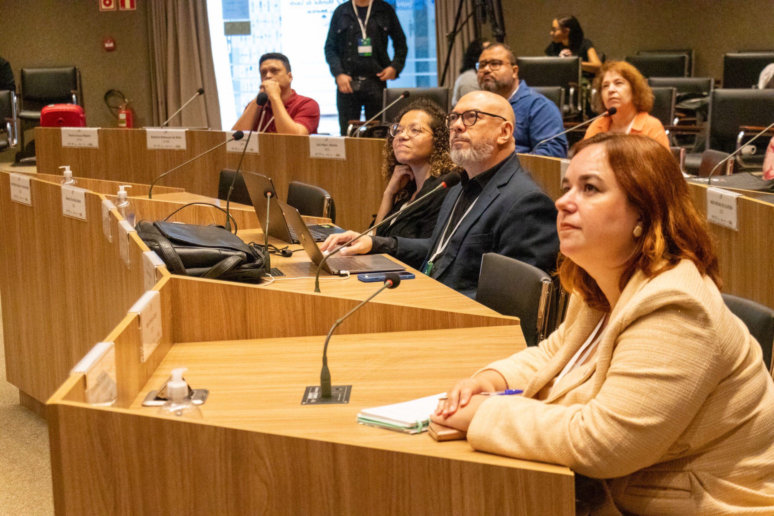 31ª Oficina de Trabalho Interagencial da Ripsa​ - 2024.12.05 e 06