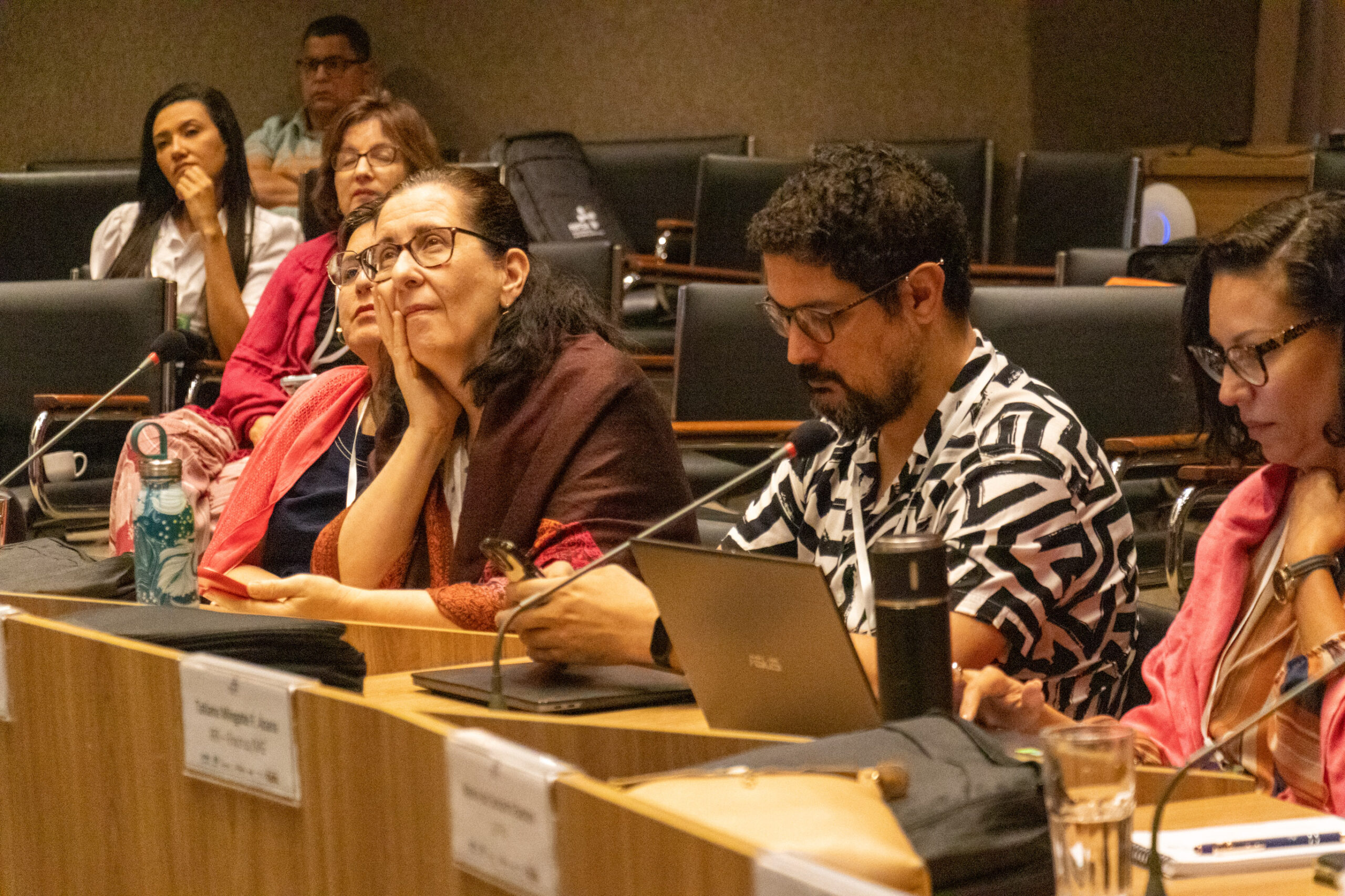 31ª Oficina de Trabalho Interagencial da Ripsa​ - 2024.12.05 e 06