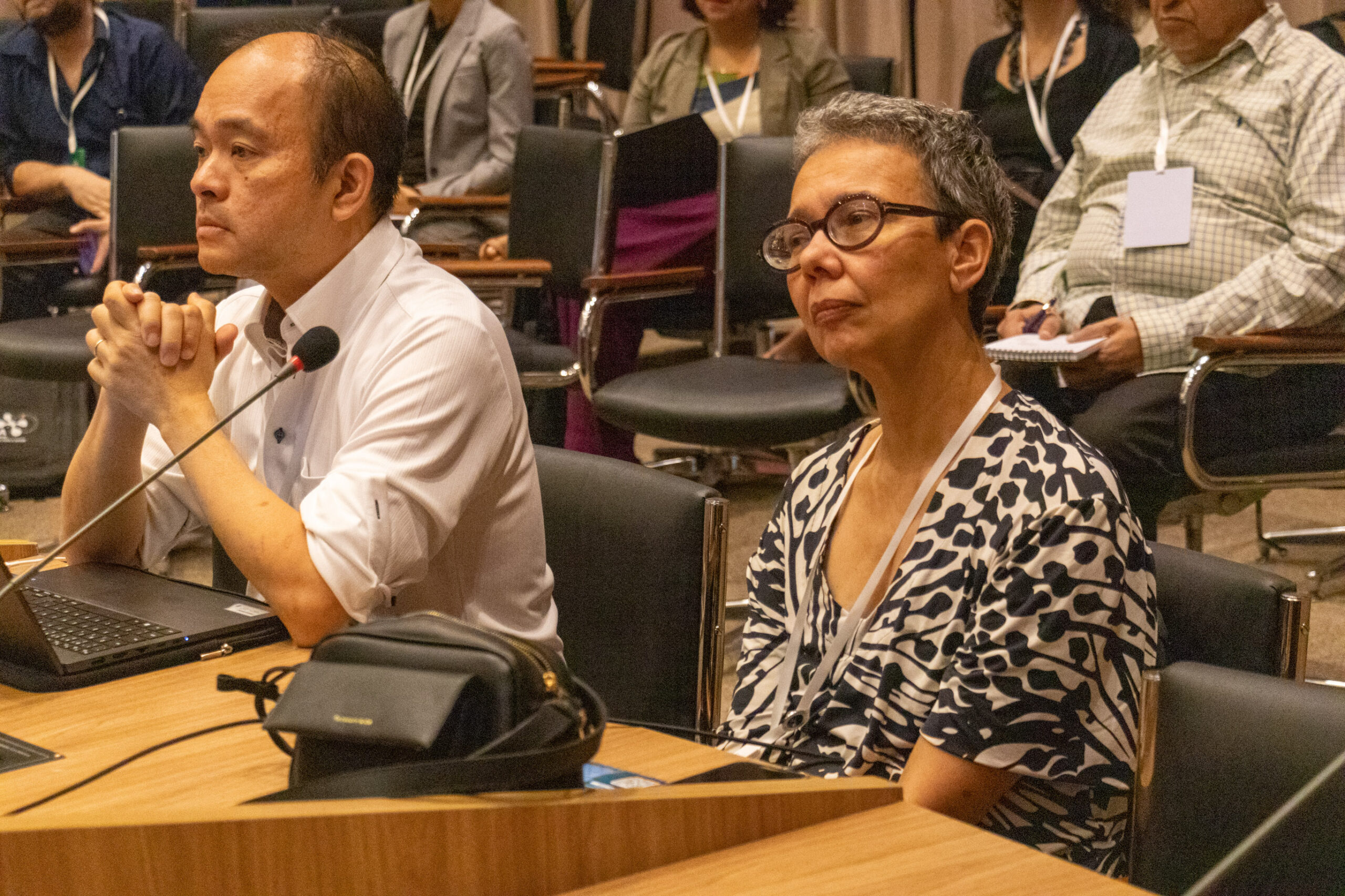 31ª Oficina de Trabalho Interagencial da Ripsa​ - 2024.12.05 e 06