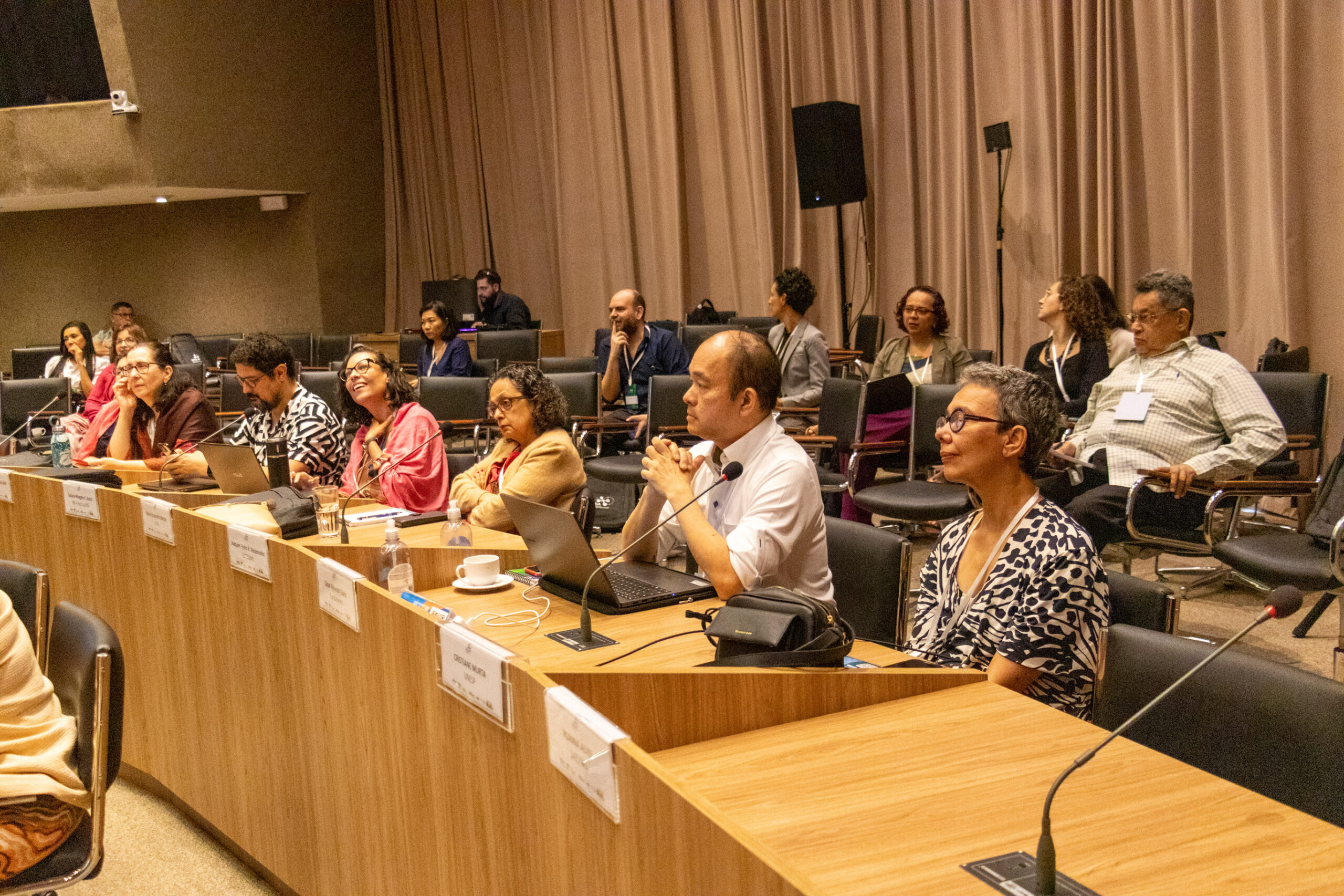 31ª Oficina de Trabalho Interagencial da Ripsa​ - 2024.12.05 e 06