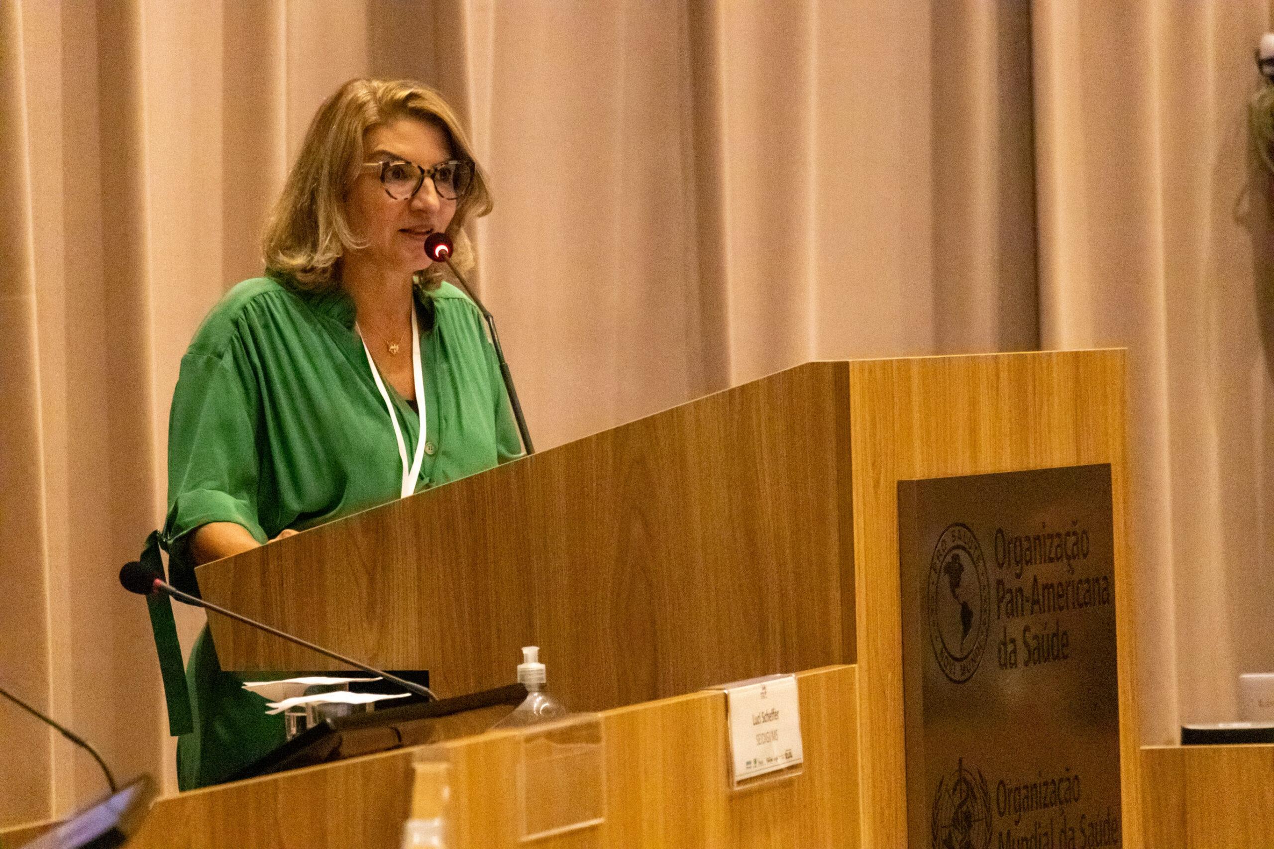 31ª Oficina de Trabalho Interagencial da Ripsa​ - 2024.12.05 e 06