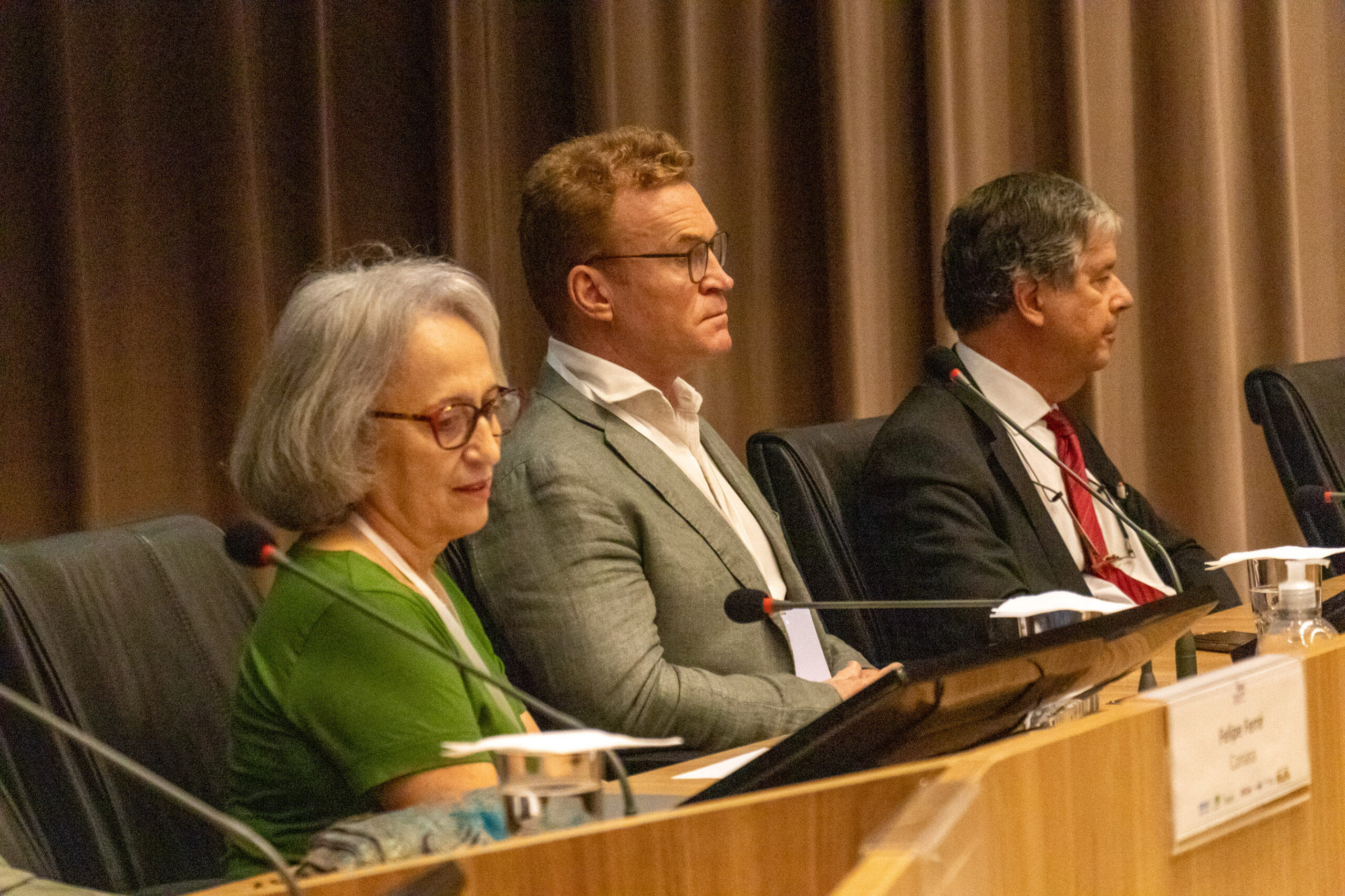 31ª Oficina de Trabalho Interagencial da Ripsa​ - 2024.12.05 e 06