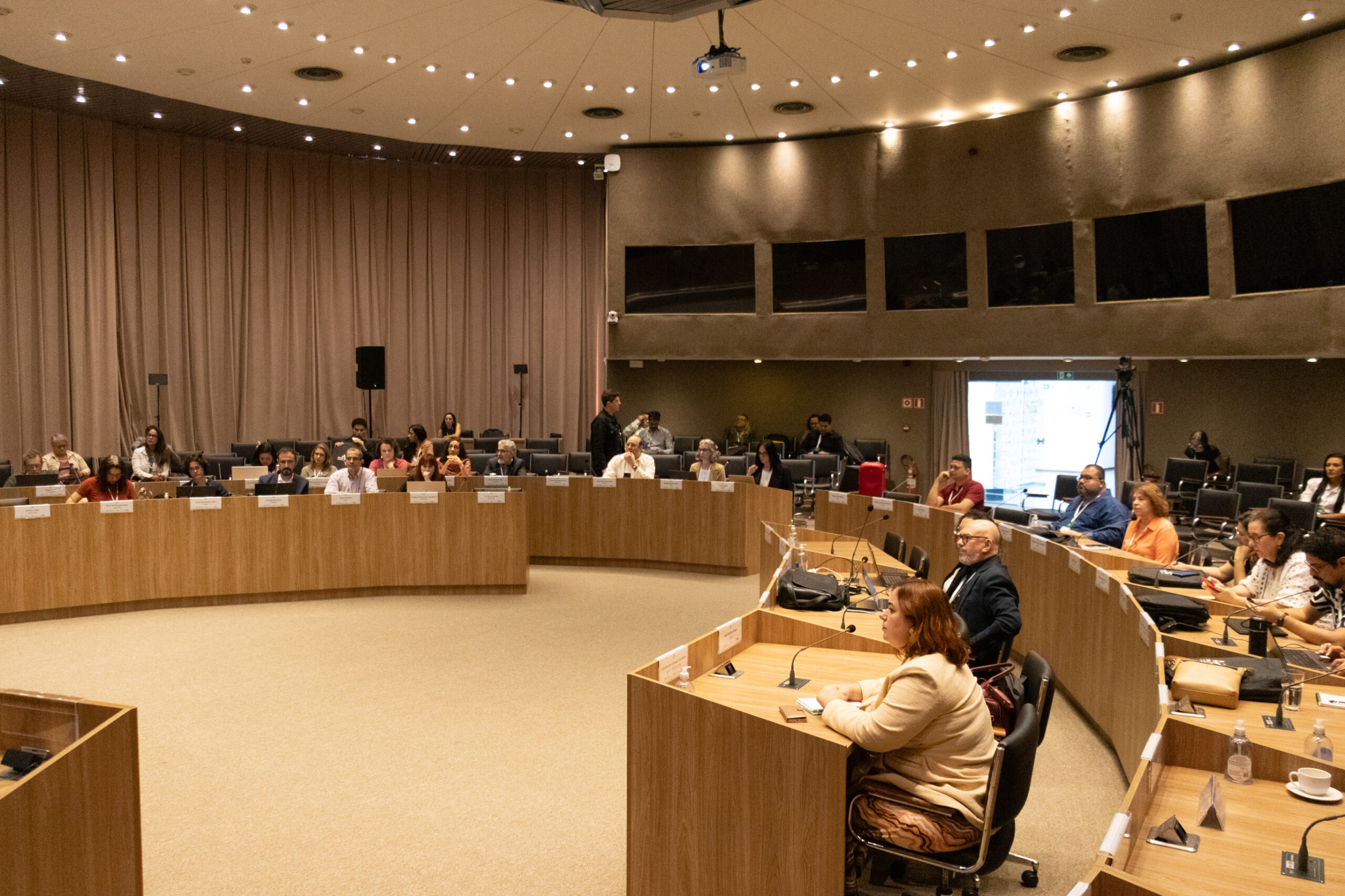 31ª Oficina de Trabalho Interagencial da Ripsa​ - 2024.12.05 e 06