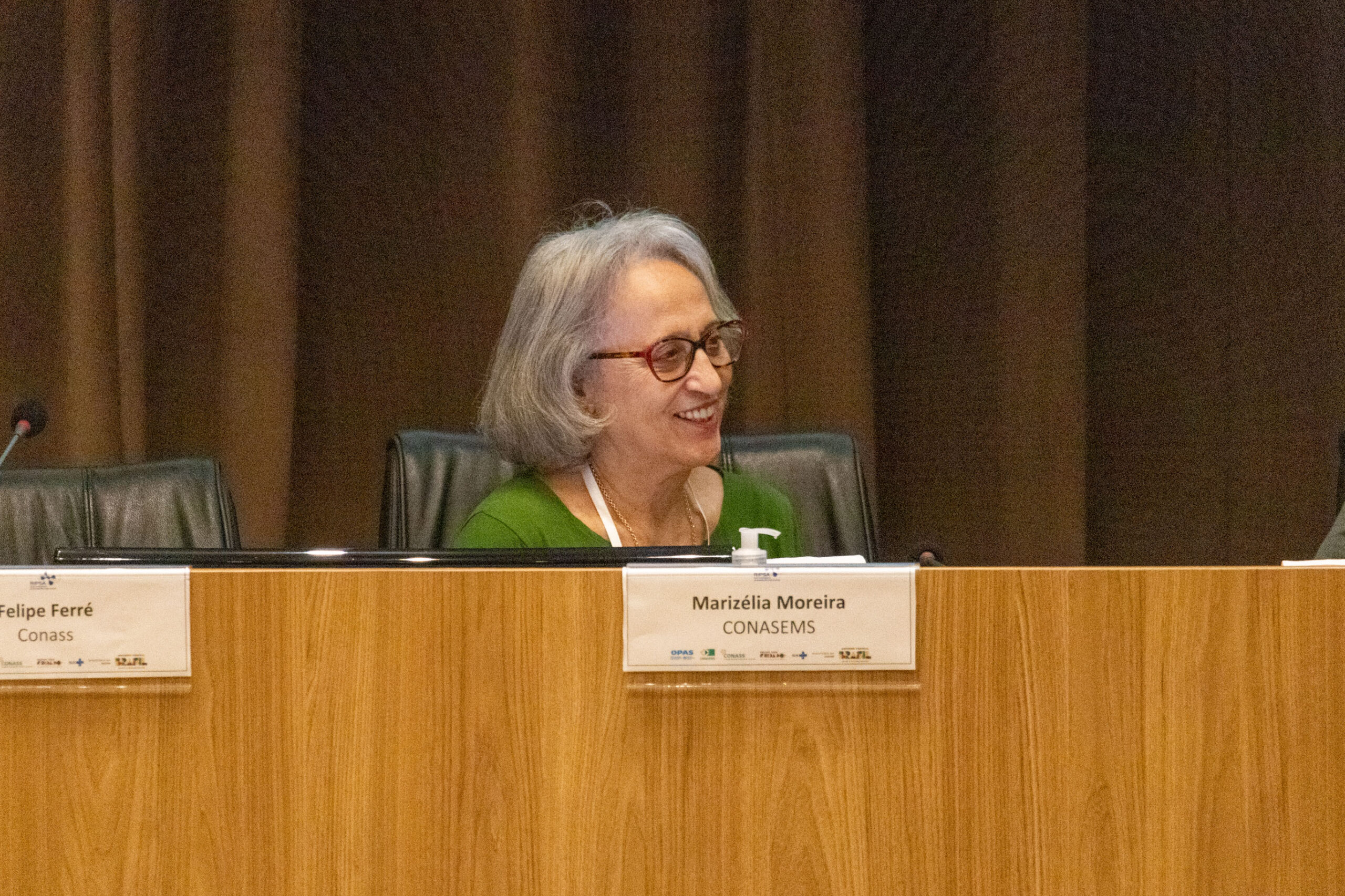 31ª Oficina de Trabalho Interagencial da Ripsa​ - 2024.12.05 e 06