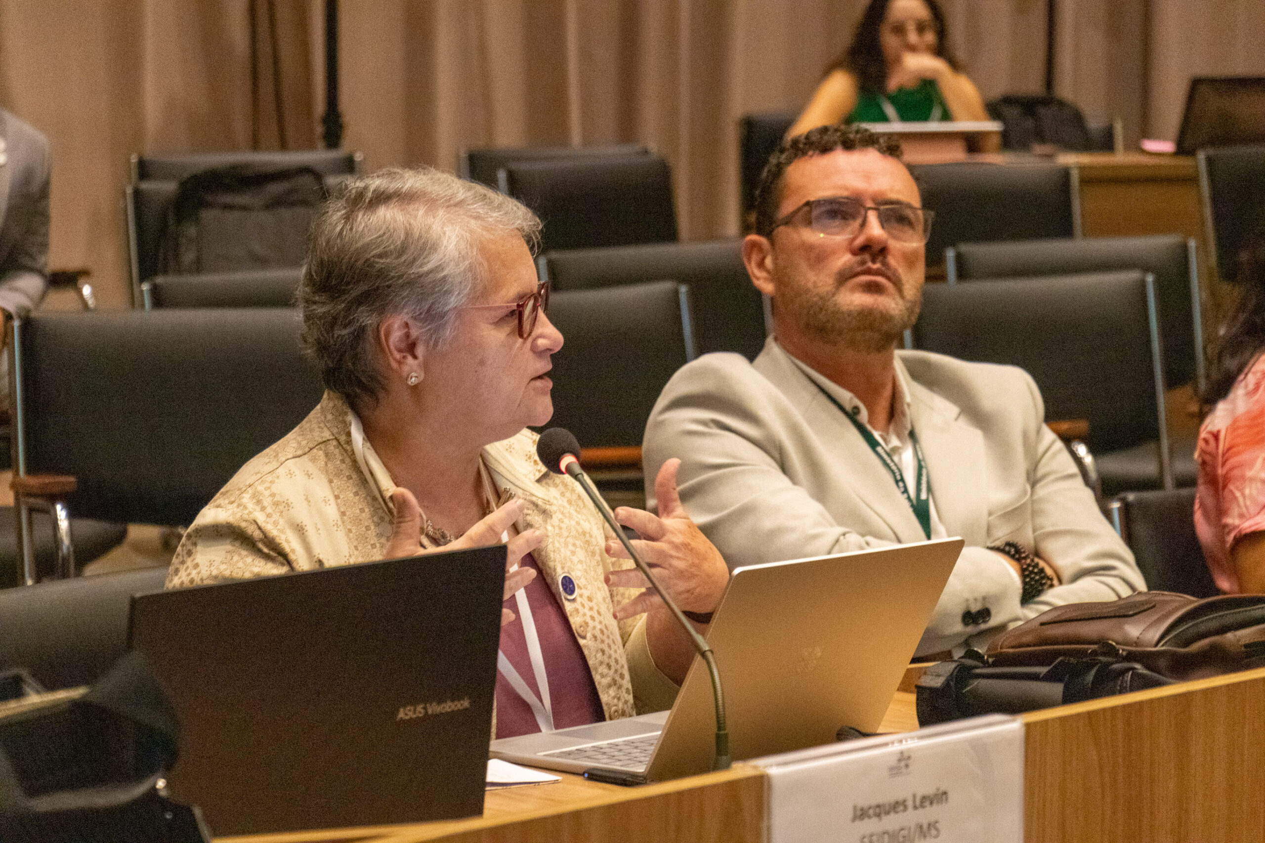 31ª Oficina de Trabalho Interagencial da Ripsa​ - 2024.12.05 e 06