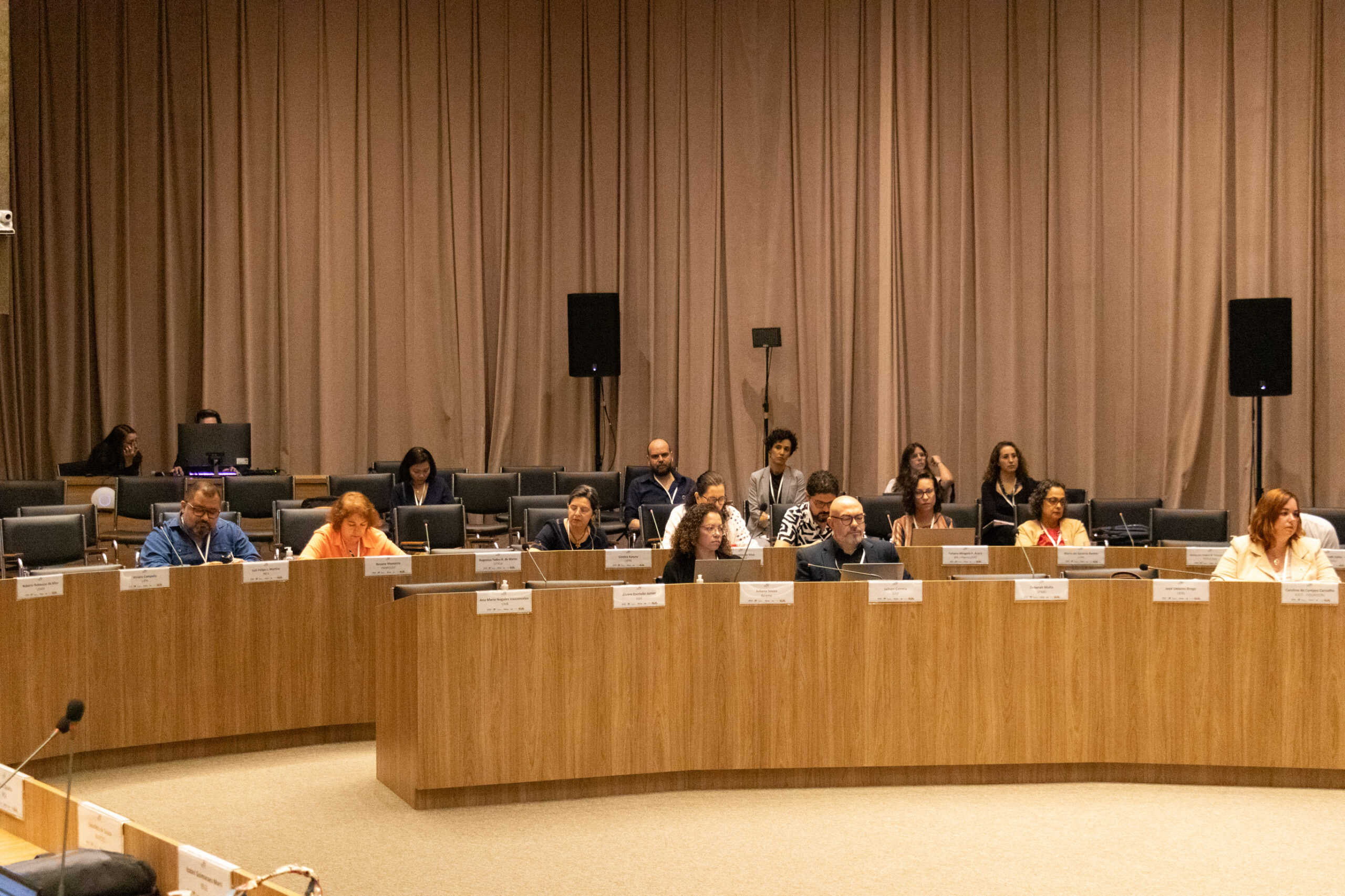 31ª Oficina de Trabalho Interagencial da Ripsa​ - 2024.12.05 e 06