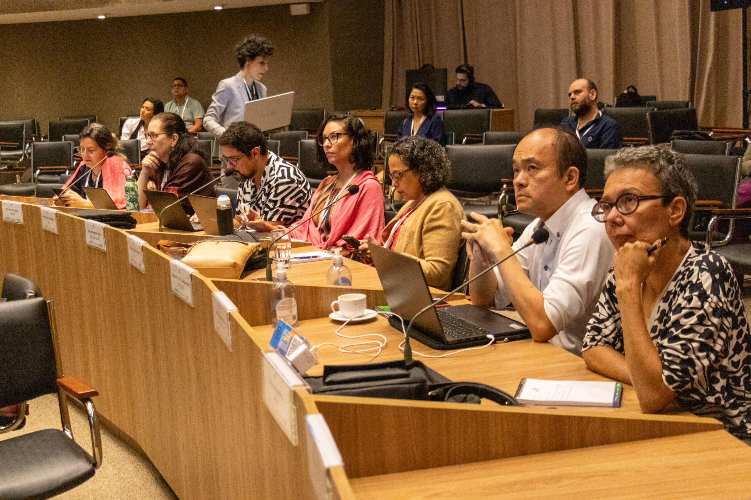 31ª Oficina de Trabalho Interagencial da Ripsa​ - 2024.12.05 e 06