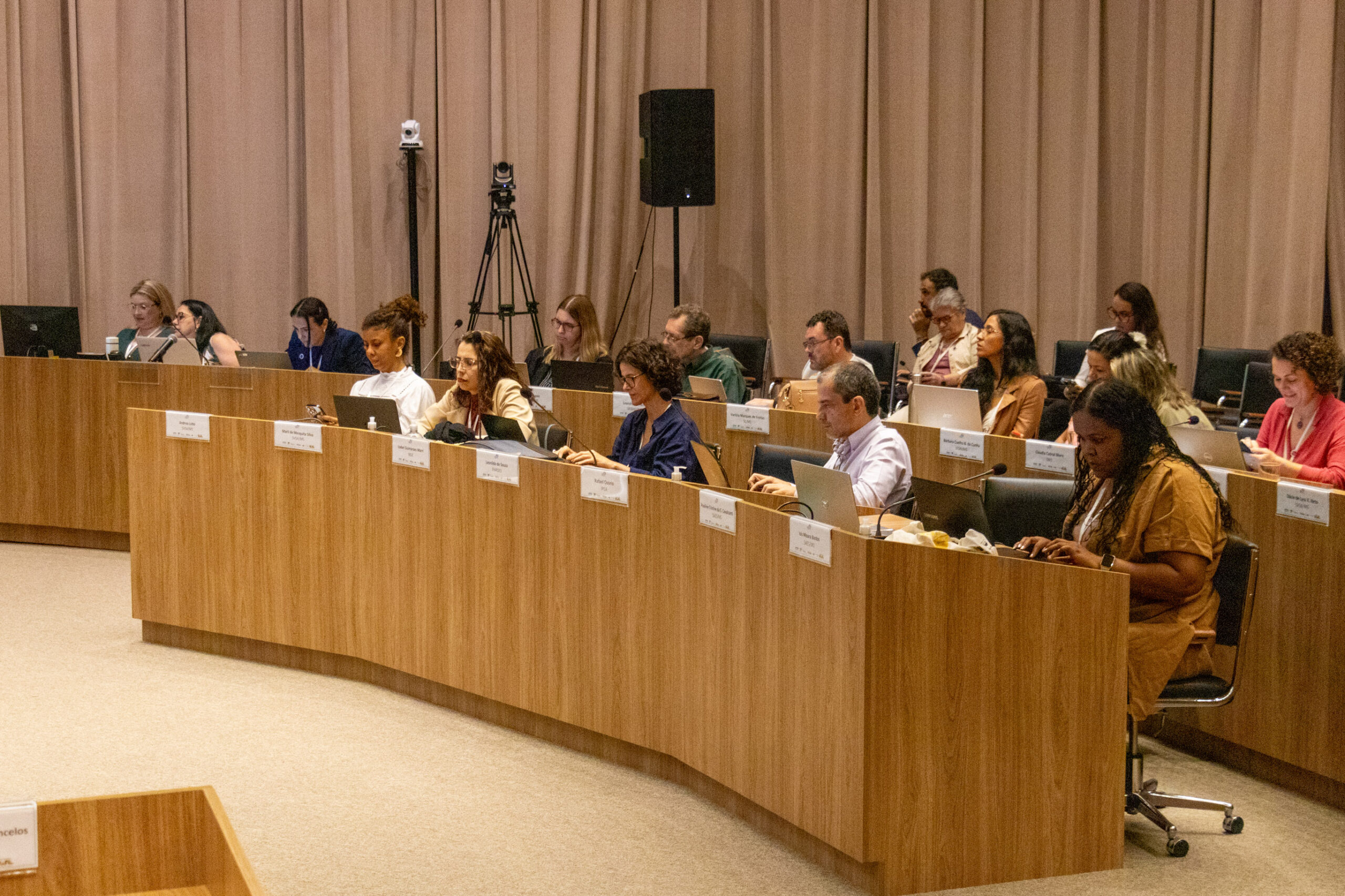 31ª Oficina de Trabalho Interagencial da Ripsa​ - 2024.12.05 e 06