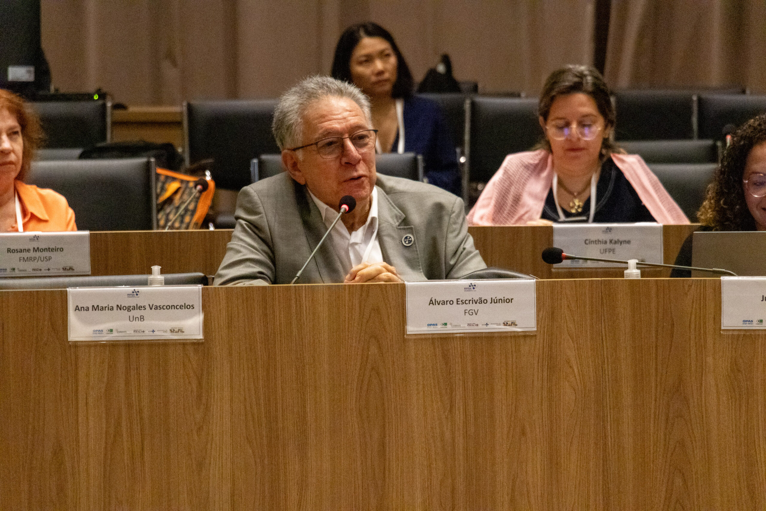 31ª Oficina de Trabalho Interagencial da Ripsa​ - 2024.12.05 e 06