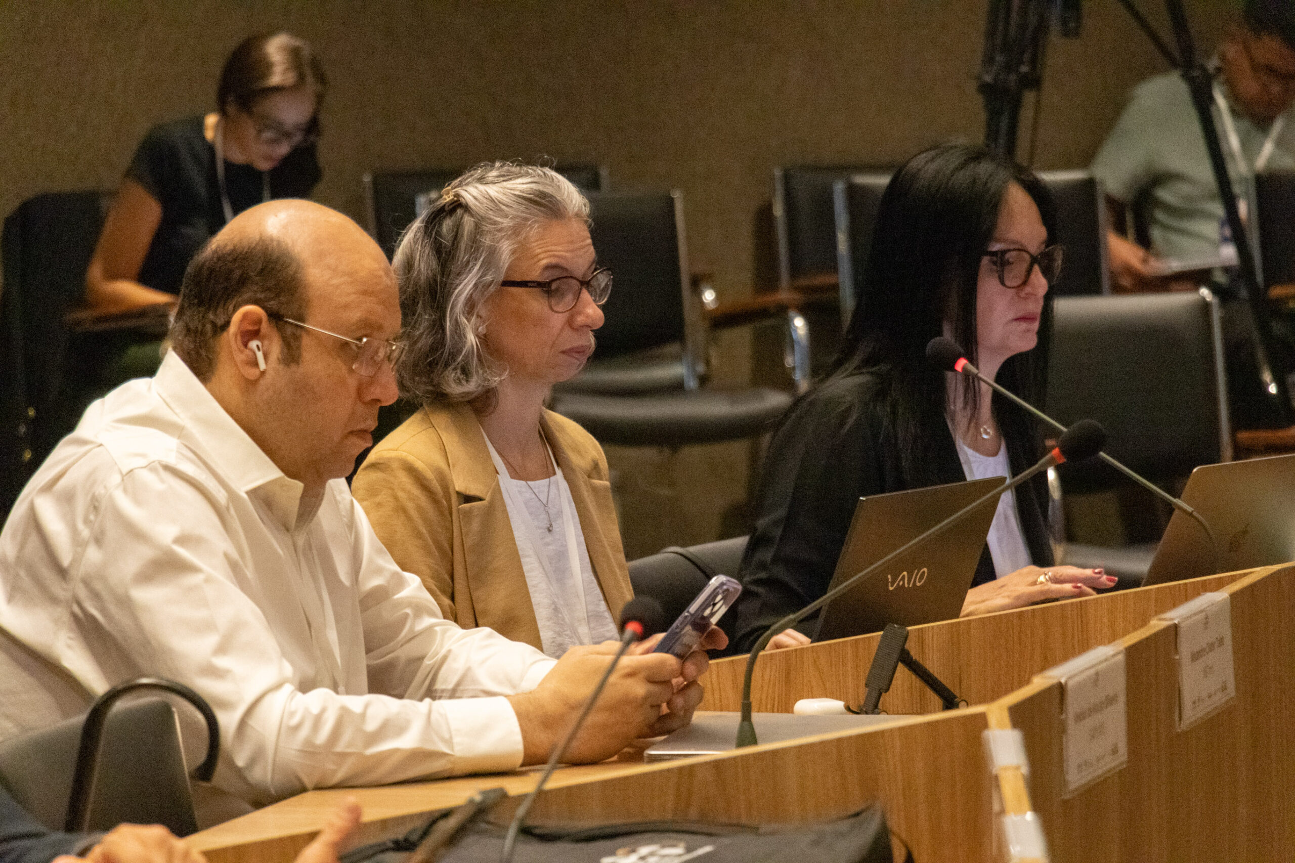 31ª Oficina de Trabalho Interagencial da Ripsa​ - 2024.12.05 e 06