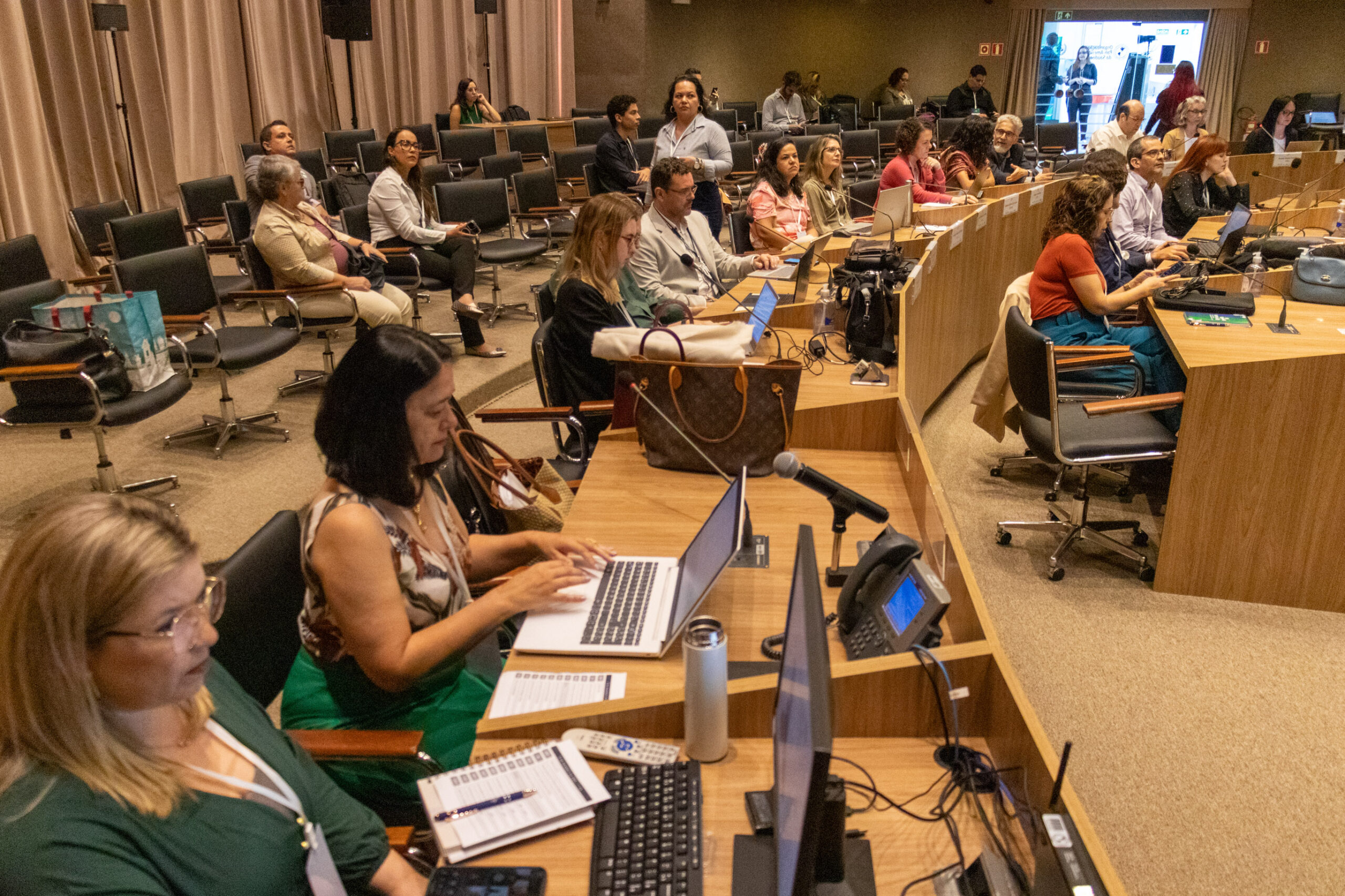 31ª Oficina de Trabalho Interagencial da Ripsa​ - 2024.12.05 e 06