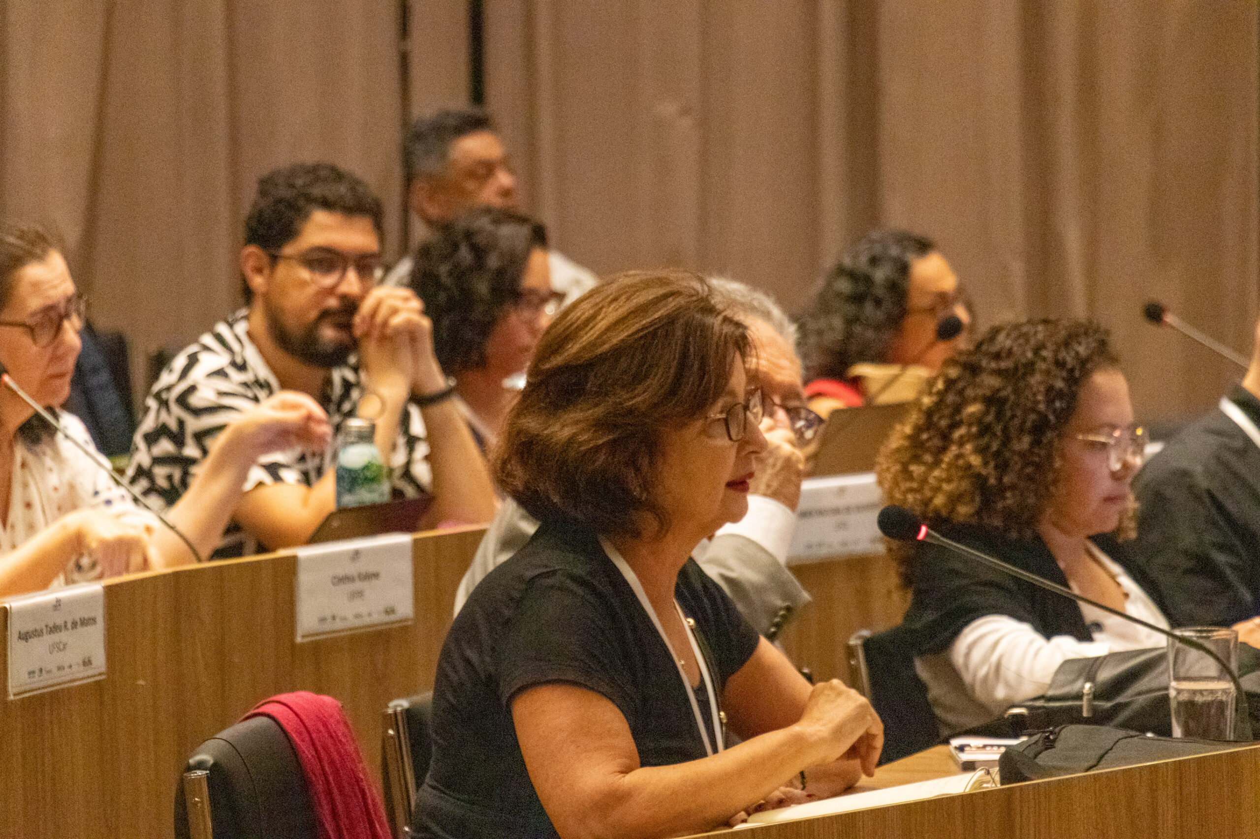 31ª Oficina de Trabalho Interagencial da Ripsa​ - 2024.12.05 e 06