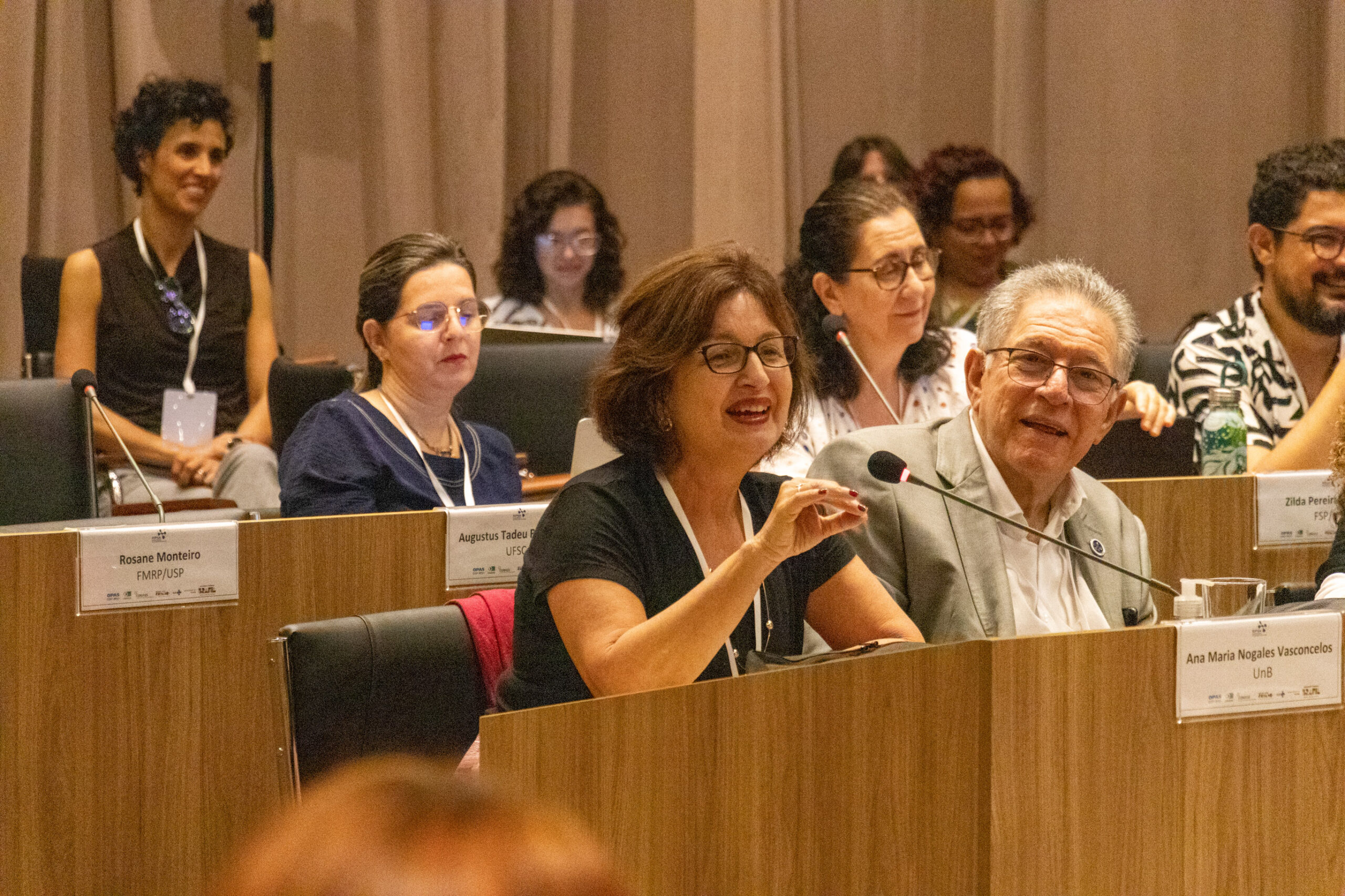 31ª Oficina de Trabalho Interagencial da Ripsa​ - 2024.12.05 e 06