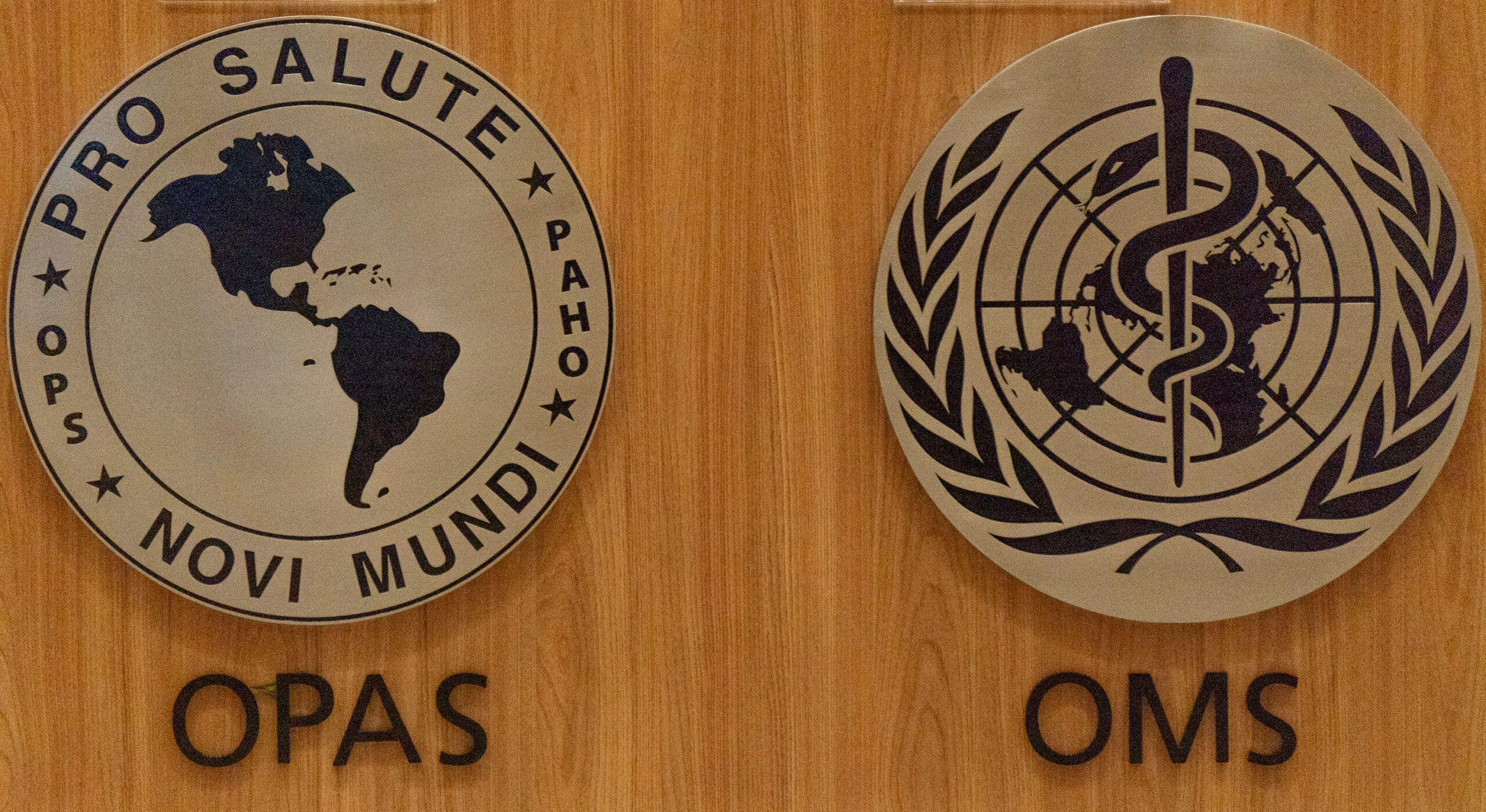 6ª Reunião dos Comitês de Gestão de Indicadores da Ripsa​ - 2025.05.15 e 16