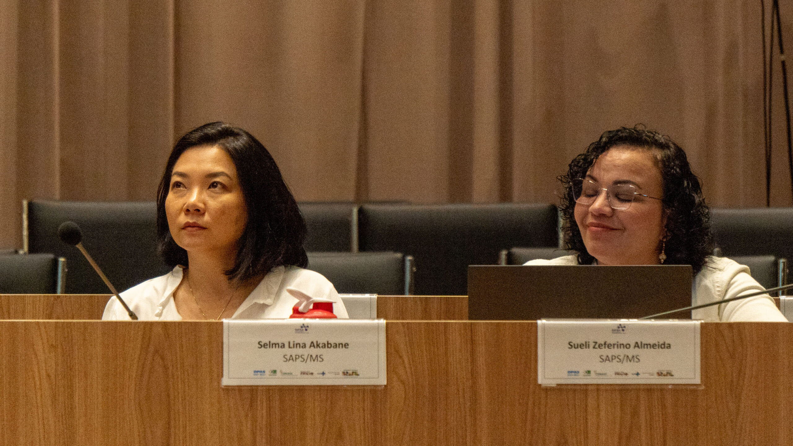 6ª Reunião dos Comitês de Gestão de Indicadores da Ripsa​ - 2025.05.15 e 16