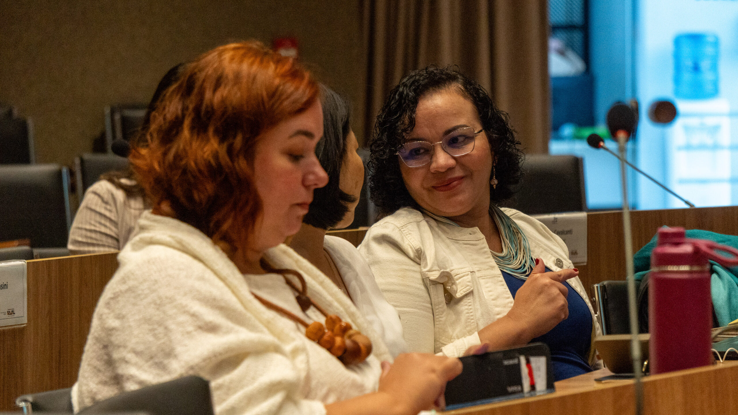 6ª Reunião dos Comitês de Gestão de Indicadores da Ripsa​ - 2025.05.15 e 16