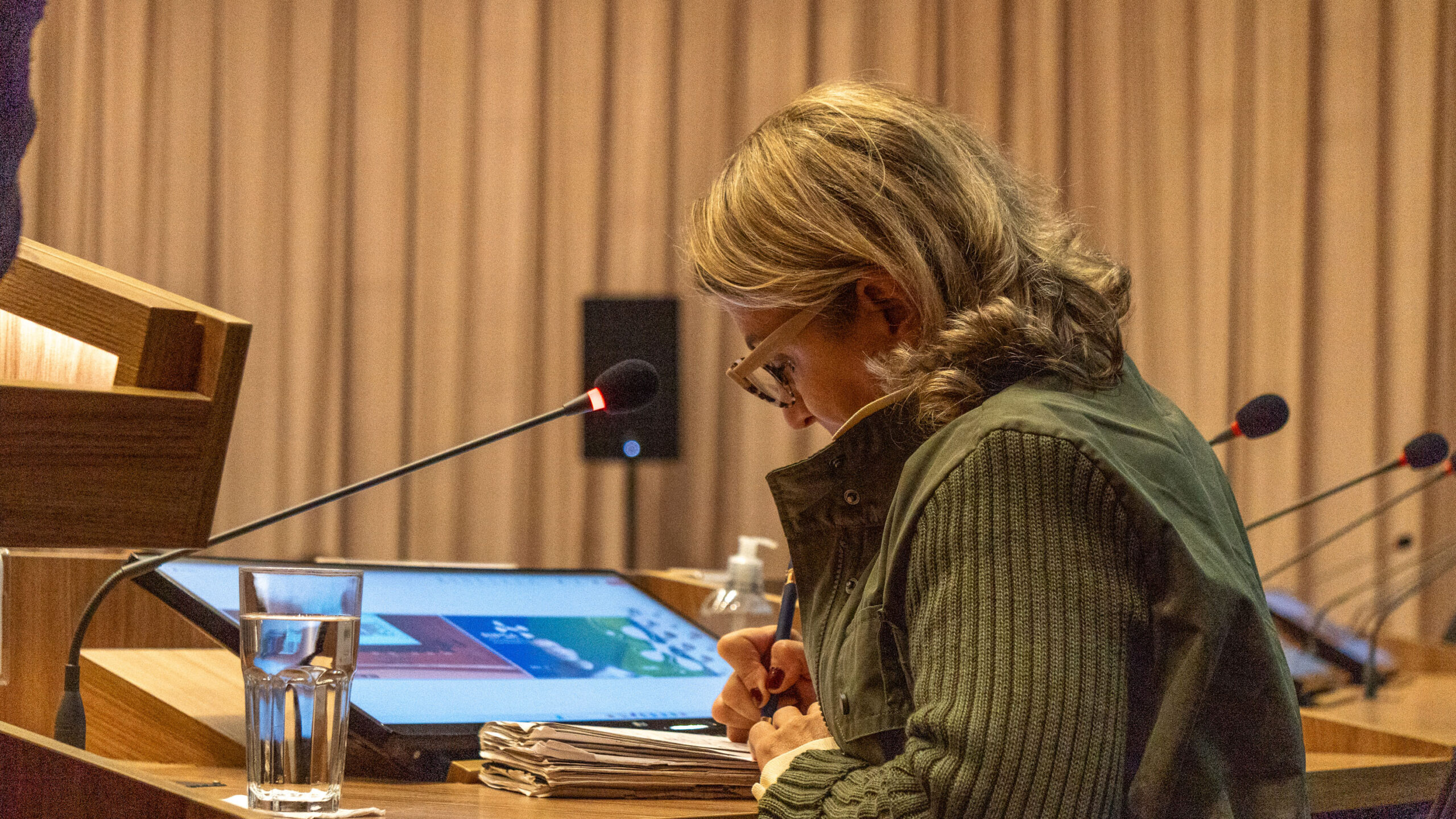 6ª Reunião dos Comitês de Gestão de Indicadores da Ripsa​ - 2025.05.15 e 16