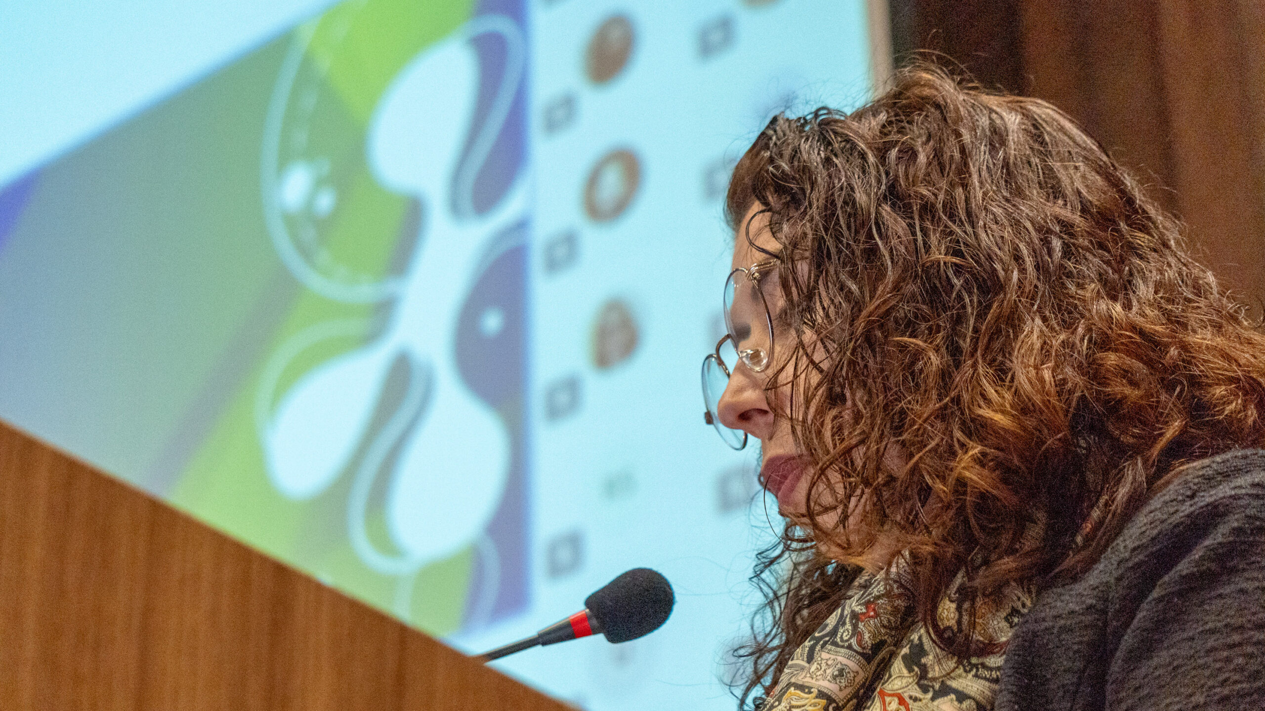 6ª Reunião dos Comitês de Gestão de Indicadores da Ripsa​ - 2025.05.15 e 16