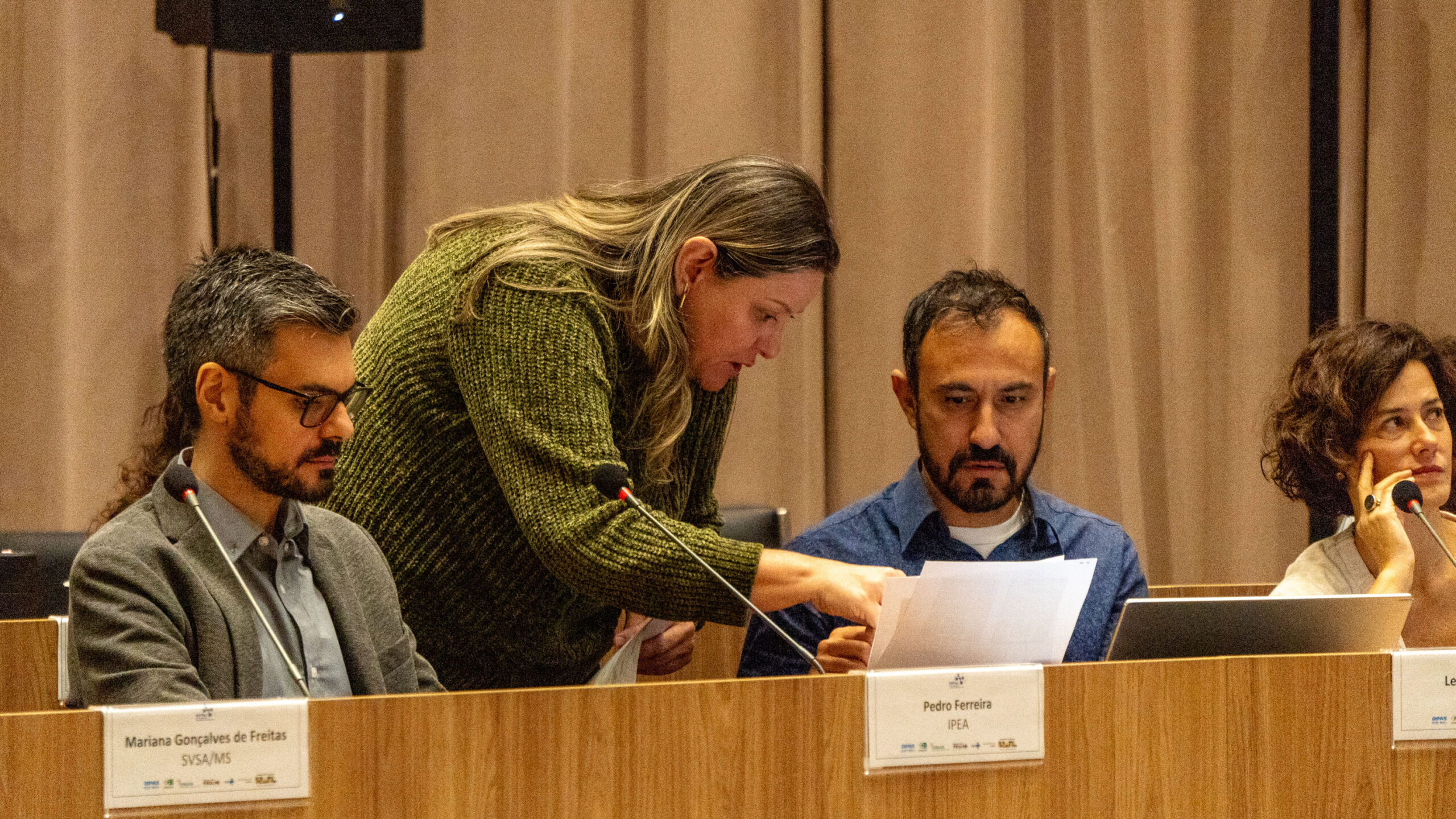 6ª Reunião dos Comitês de Gestão de Indicadores da Ripsa​ - 2025.05.15 e 16