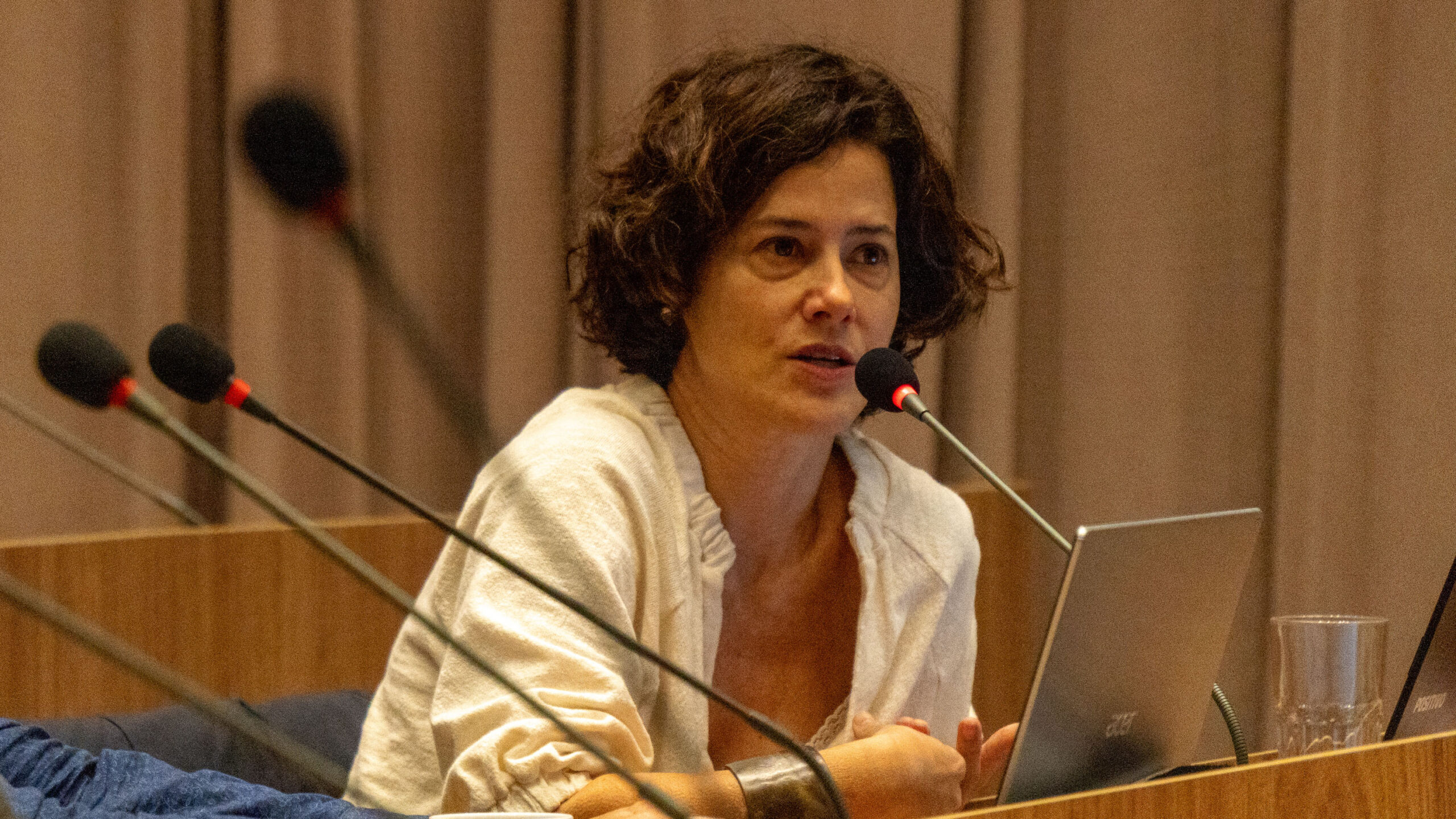 6ª Reunião dos Comitês de Gestão de Indicadores da Ripsa​ - 2025.05.15 e 16