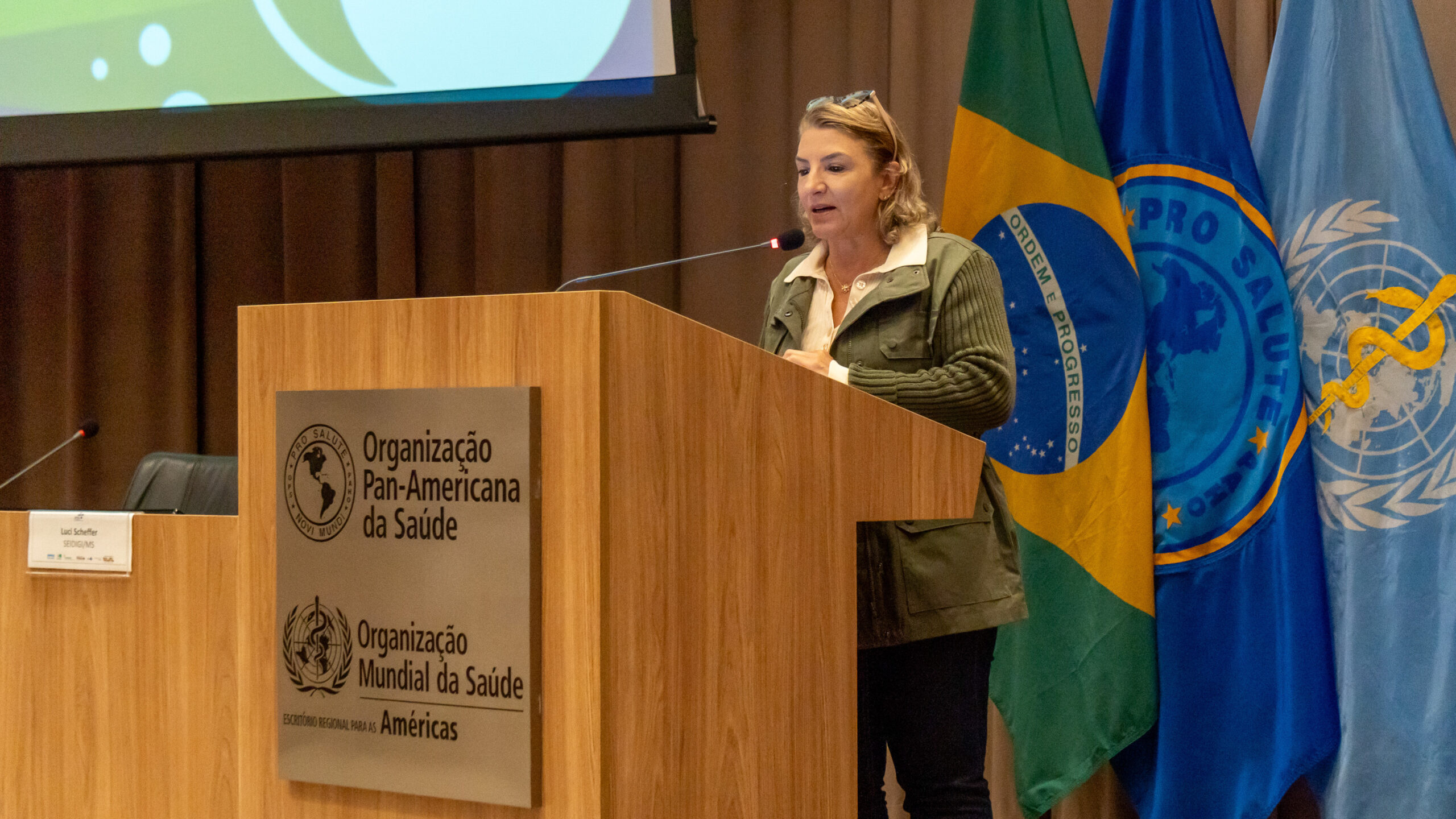 6ª Reunião dos Comitês de Gestão de Indicadores da Ripsa​ - 2025.05.15 e 16