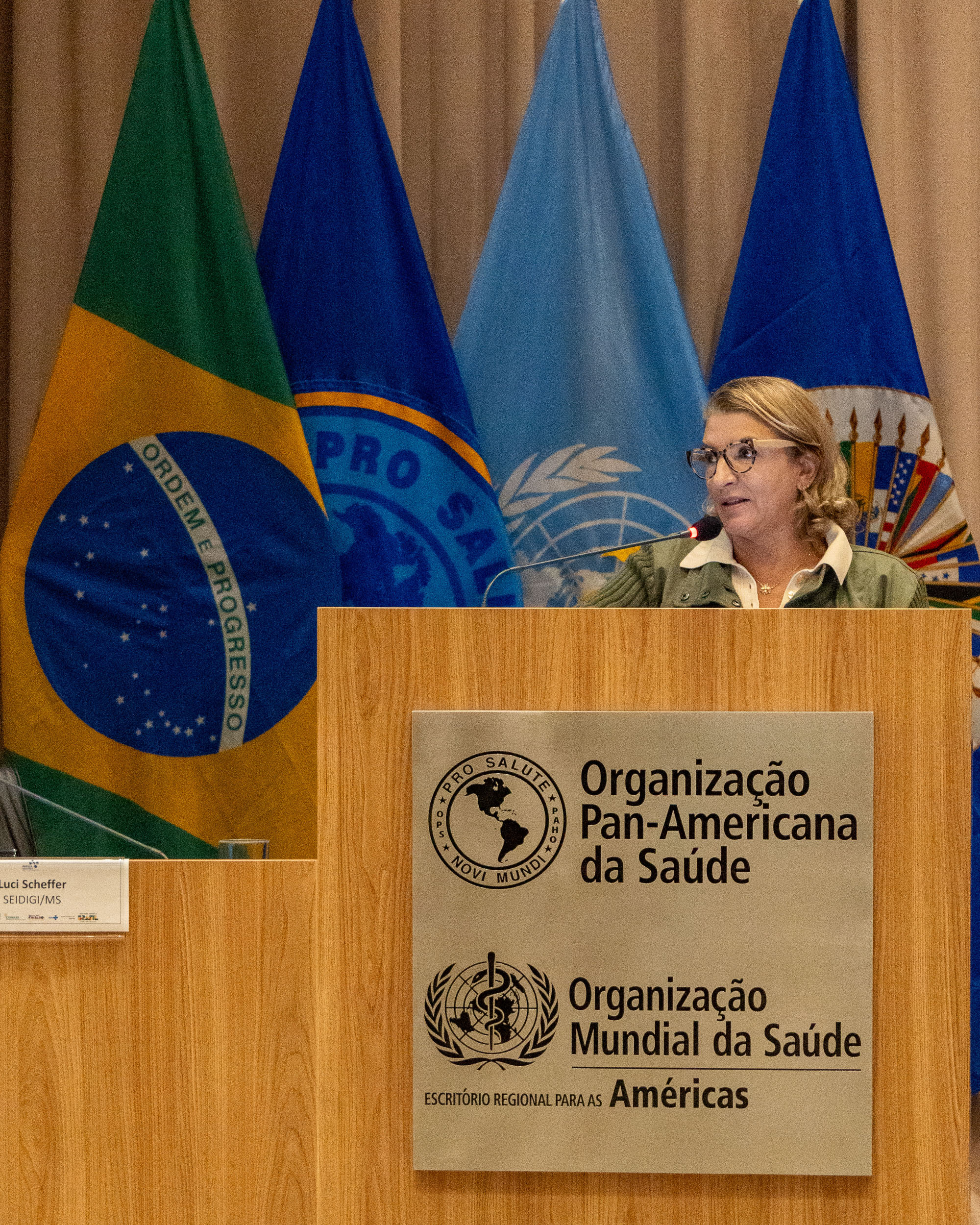 6ª Reunião dos Comitês de Gestão de Indicadores da Ripsa​ - 2025.05.15 e 16