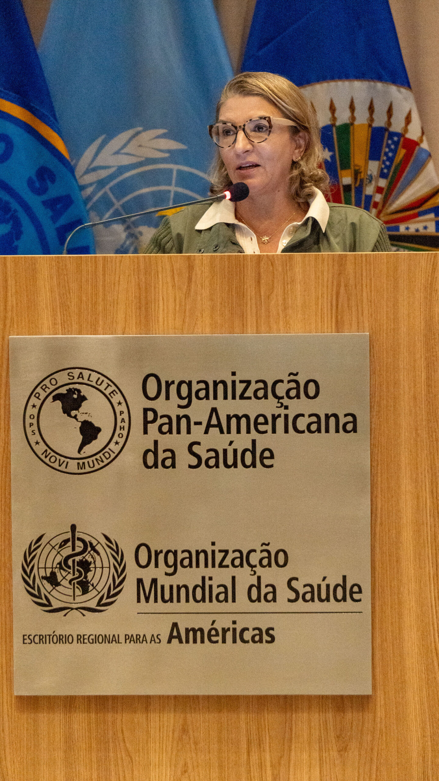 6ª Reunião dos Comitês de Gestão de Indicadores da Ripsa​ - 2025.05.15 e 16