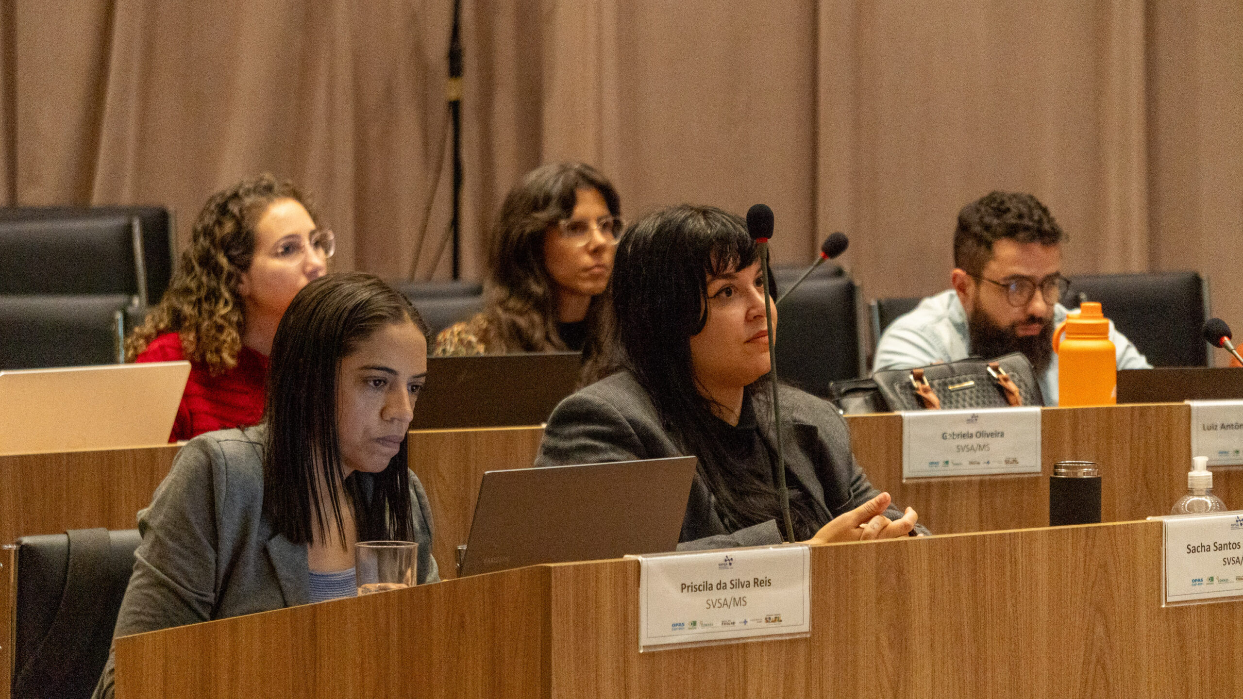 6ª Reunião dos Comitês de Gestão de Indicadores da Ripsa​ - 2025.05.15 e 16