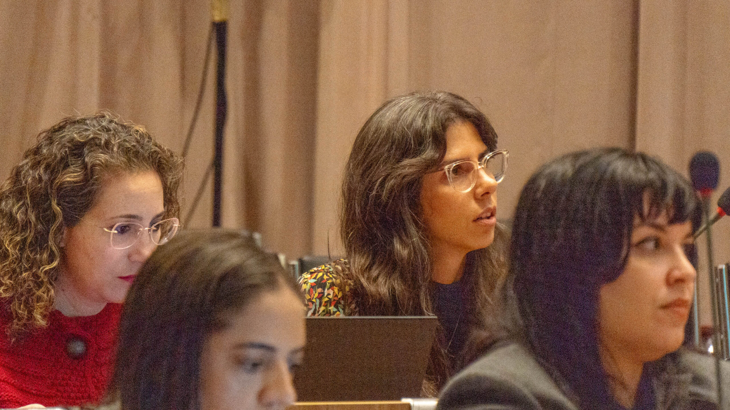 6ª Reunião dos Comitês de Gestão de Indicadores da Ripsa​ - 2025.05.15 e 16