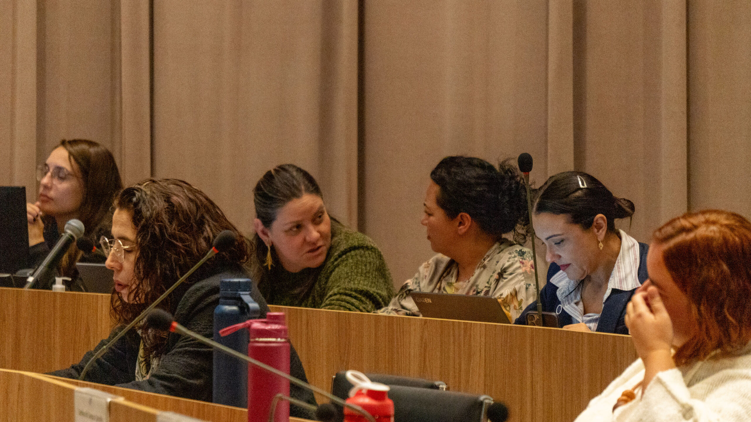 6ª Reunião dos Comitês de Gestão de Indicadores da Ripsa​ - 2025.05.15 e 16