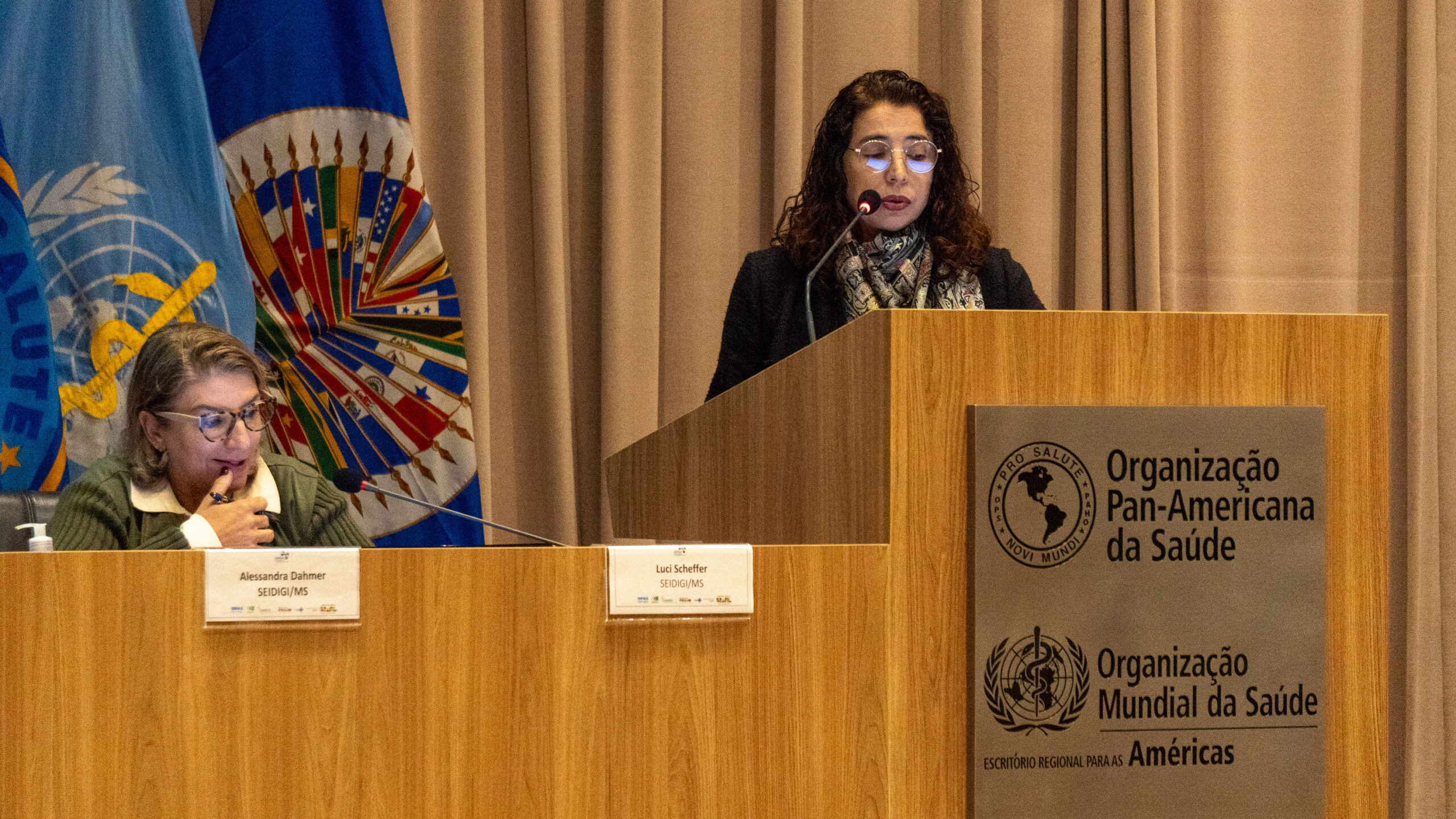 6ª Reunião dos Comitês de Gestão de Indicadores da Ripsa​ - 2025.05.15 e 16