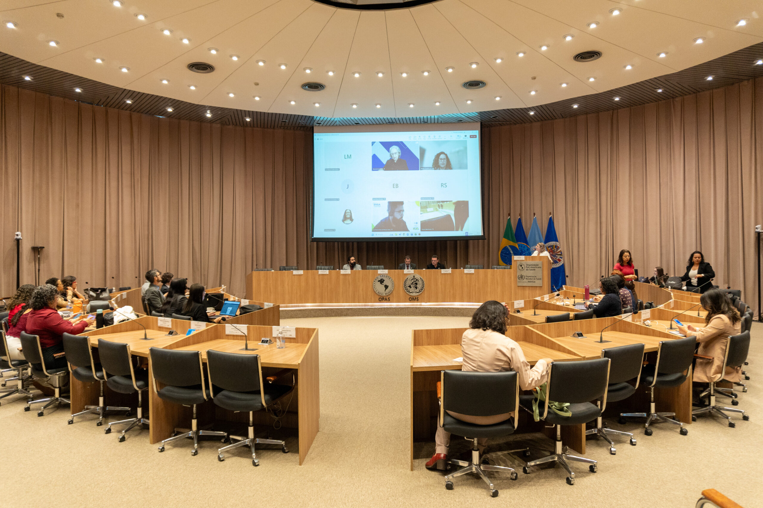 6ª Reunião dos Comitês de Gestão de Indicadores da Ripsa​ - 2025.05.15 e 16