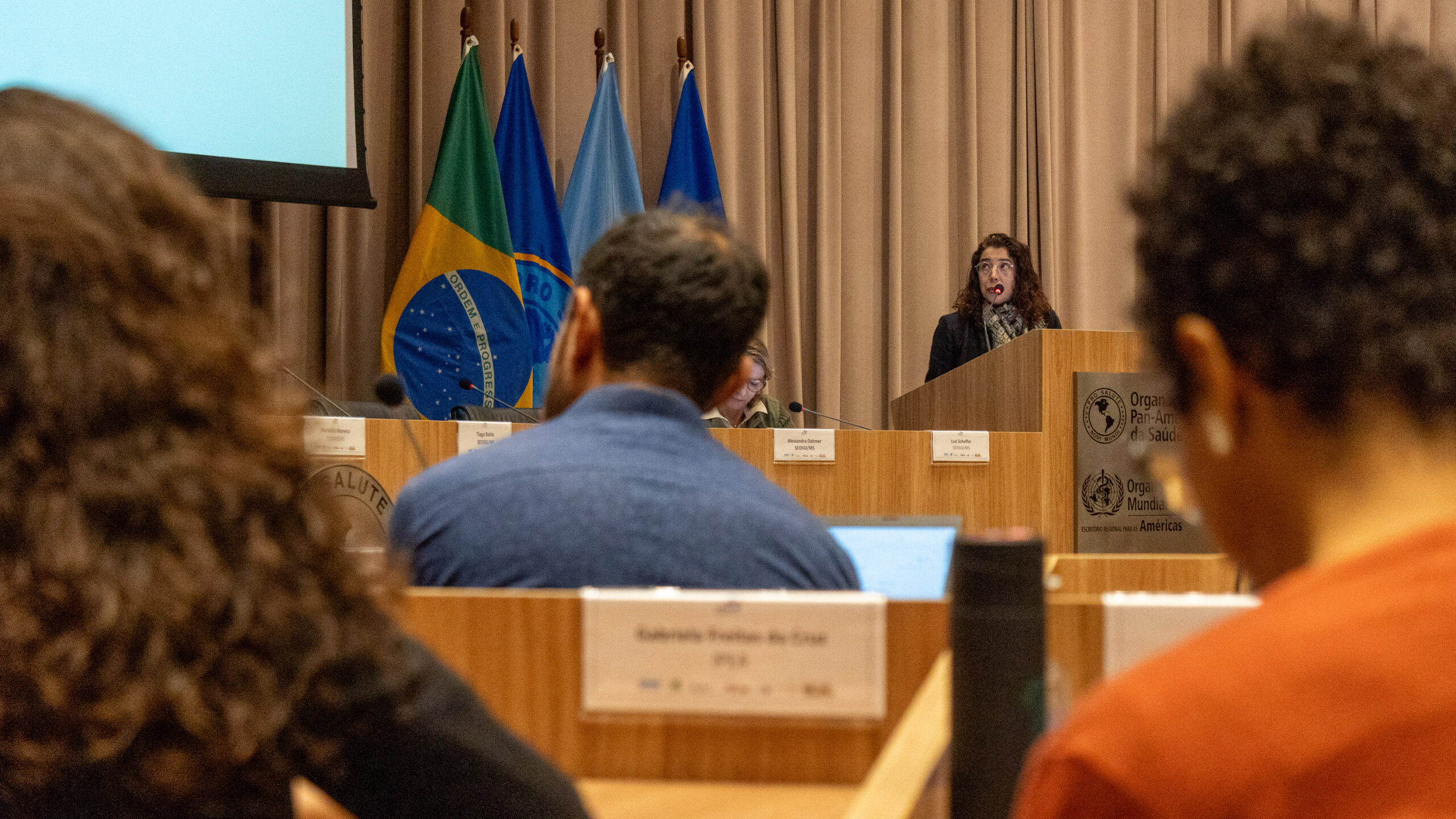 6ª Reunião dos Comitês de Gestão de Indicadores da Ripsa​ - 2025.05.15 e 16