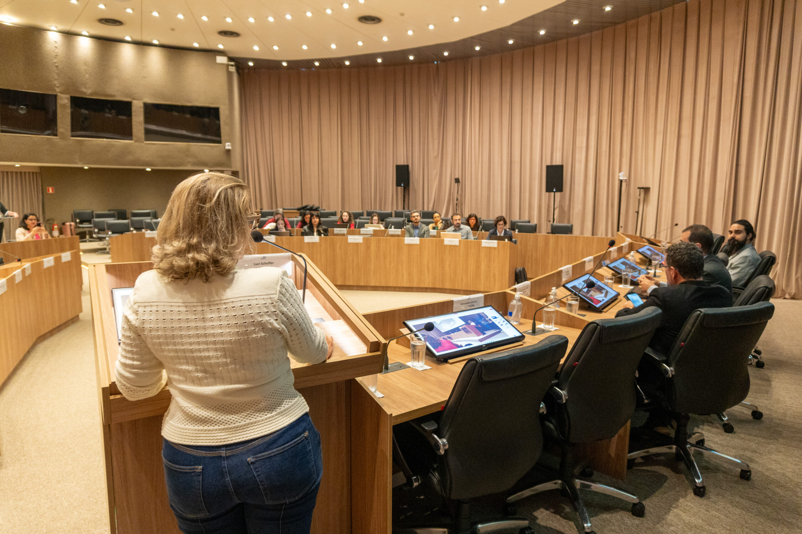 6ª Reunião dos Comitês de Gestão de Indicadores da Ripsa​ - 2025.05.15 e 16