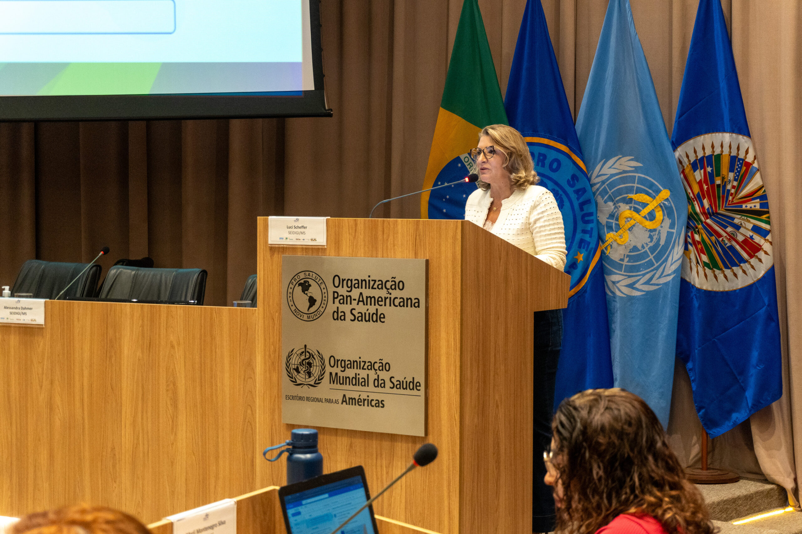 6ª Reunião dos Comitês de Gestão de Indicadores da Ripsa​ - 2025.05.15 e 16