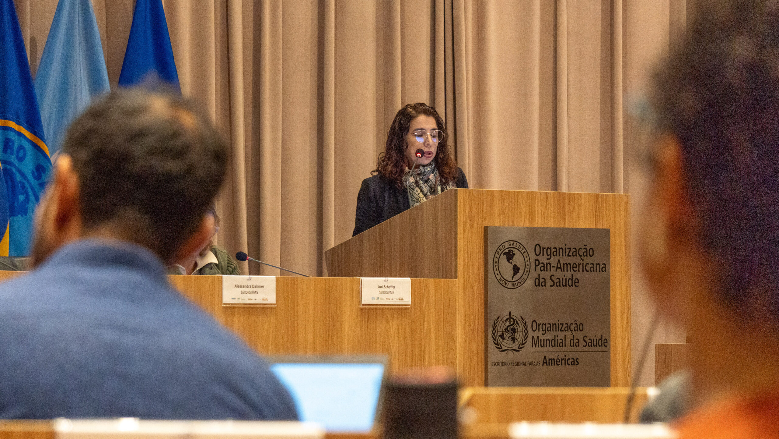 6ª Reunião dos Comitês de Gestão de Indicadores da Ripsa​ - 2025.05.15 e 16