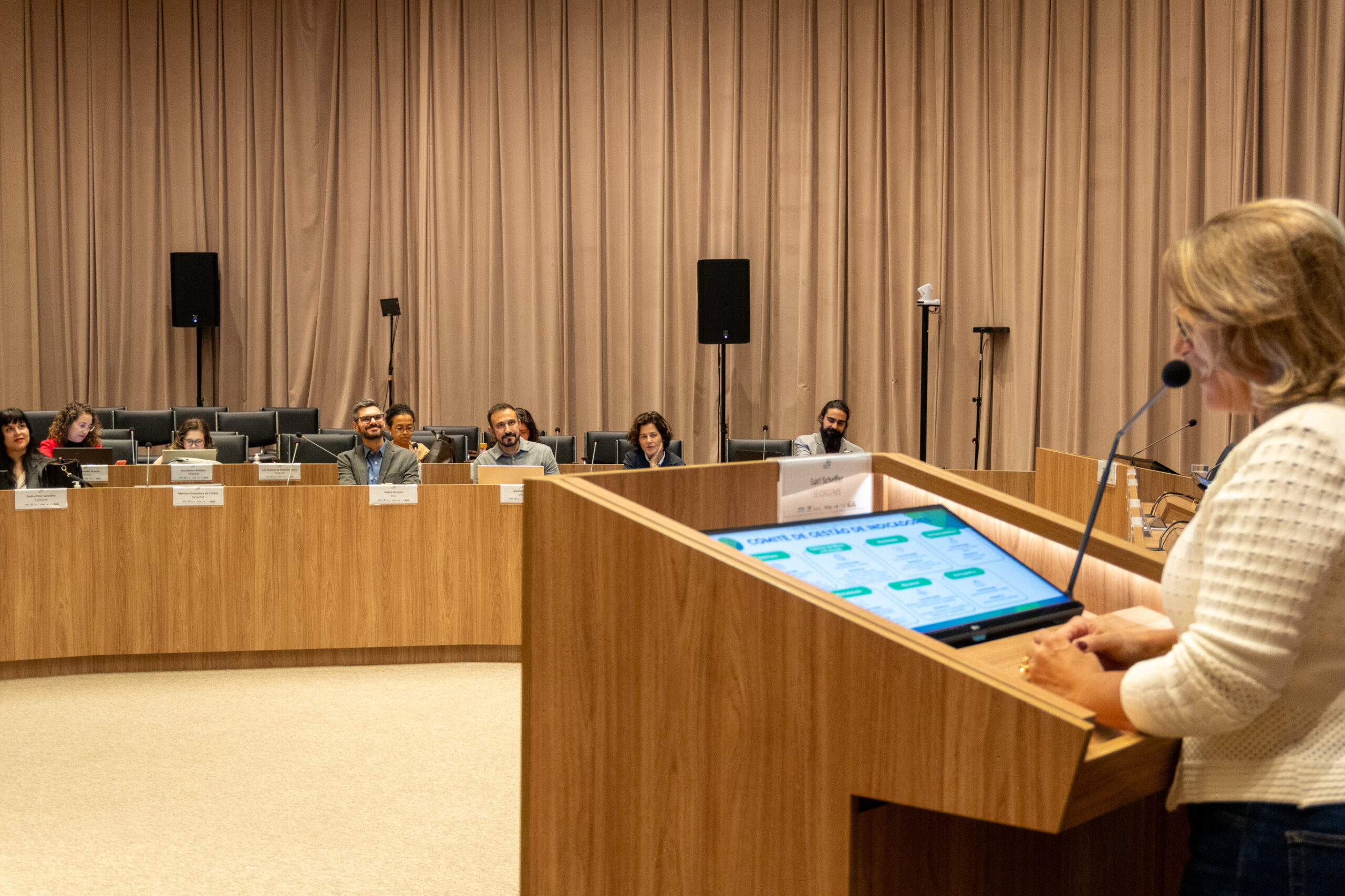 6ª Reunião dos Comitês de Gestão de Indicadores da Ripsa​ - 2025.05.15 e 16