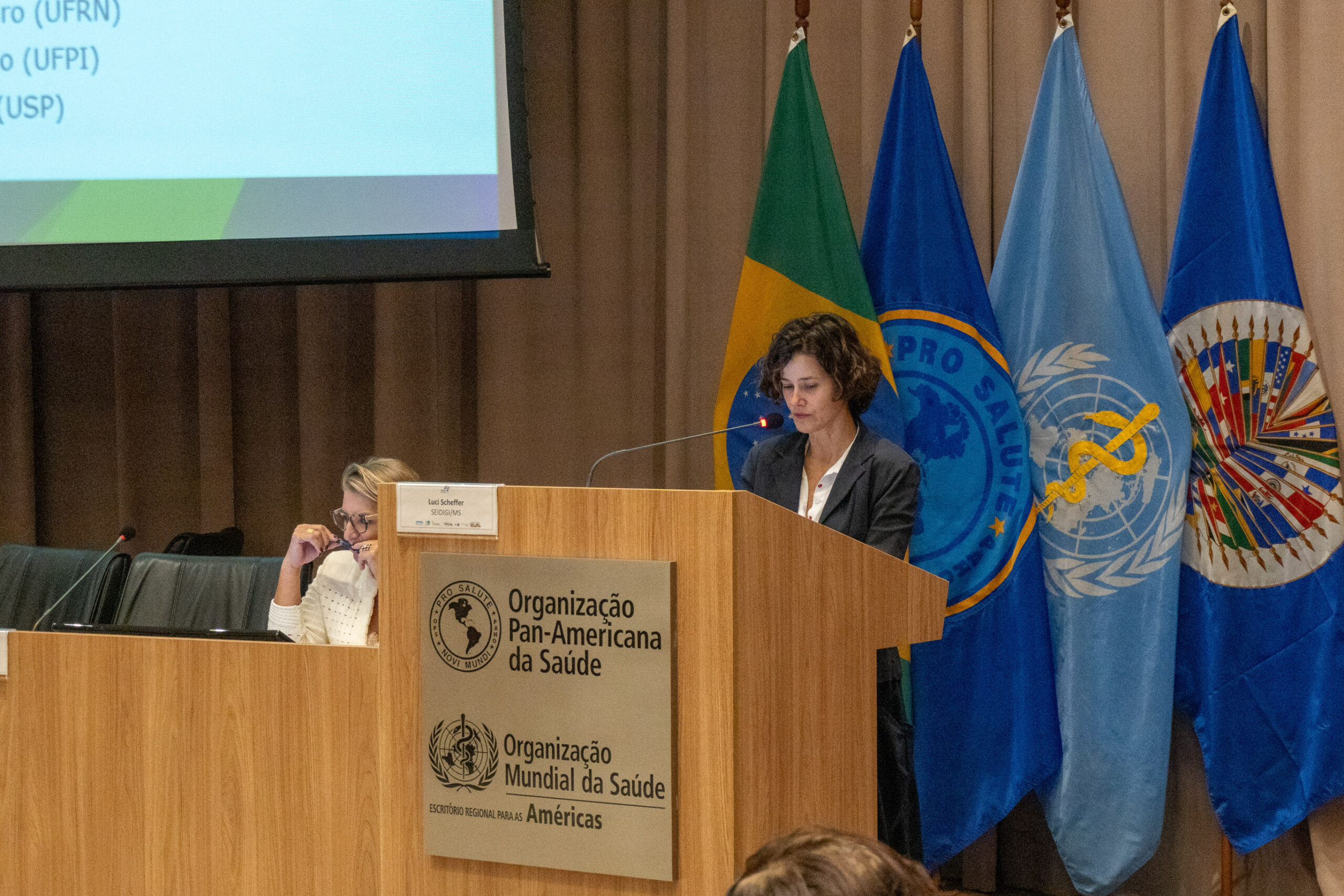 6ª Reunião dos Comitês de Gestão de Indicadores da Ripsa​ - 2025.05.15 e 16