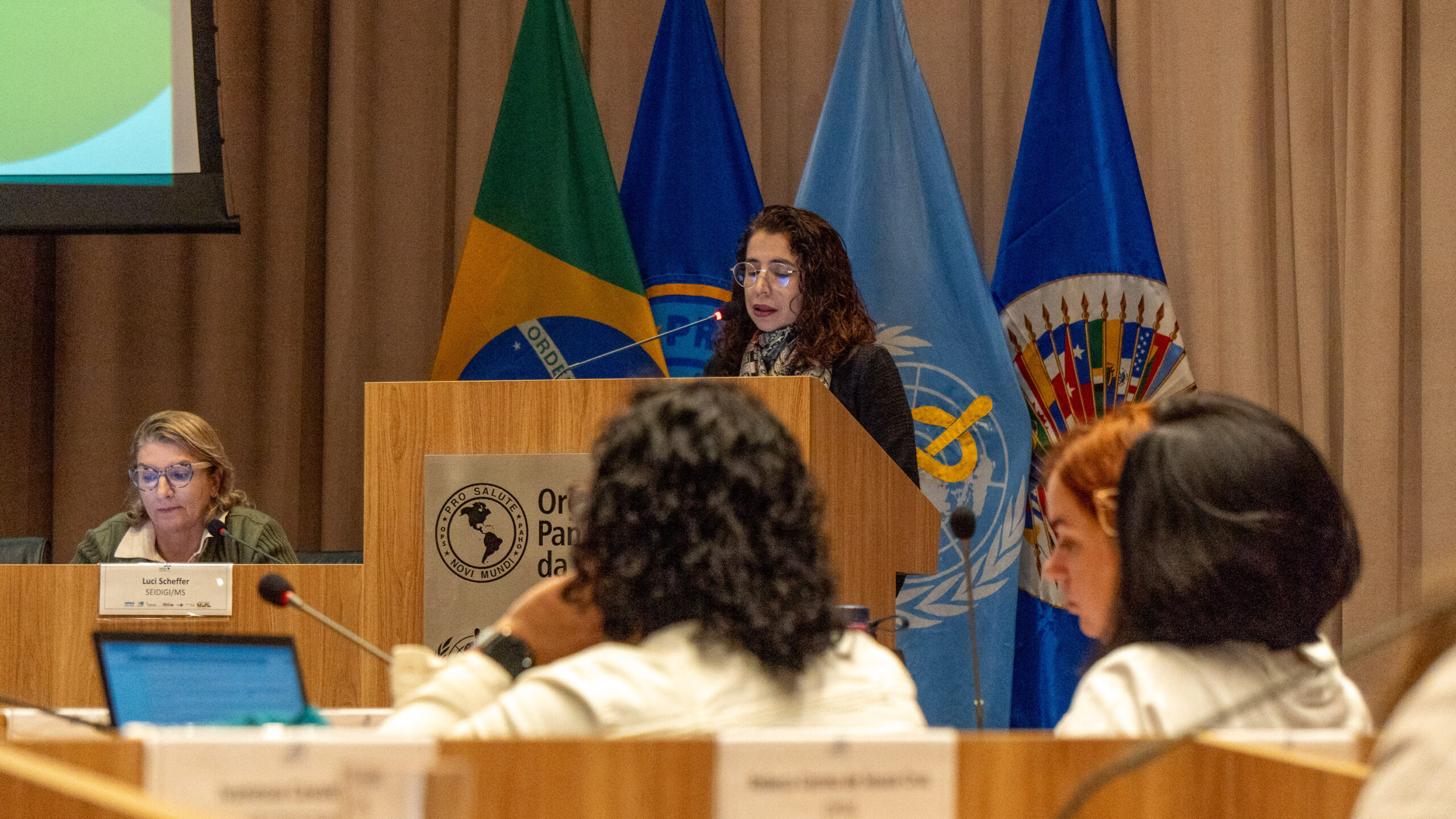 6ª Reunião dos Comitês de Gestão de Indicadores da Ripsa​ - 2025.05.15 e 16