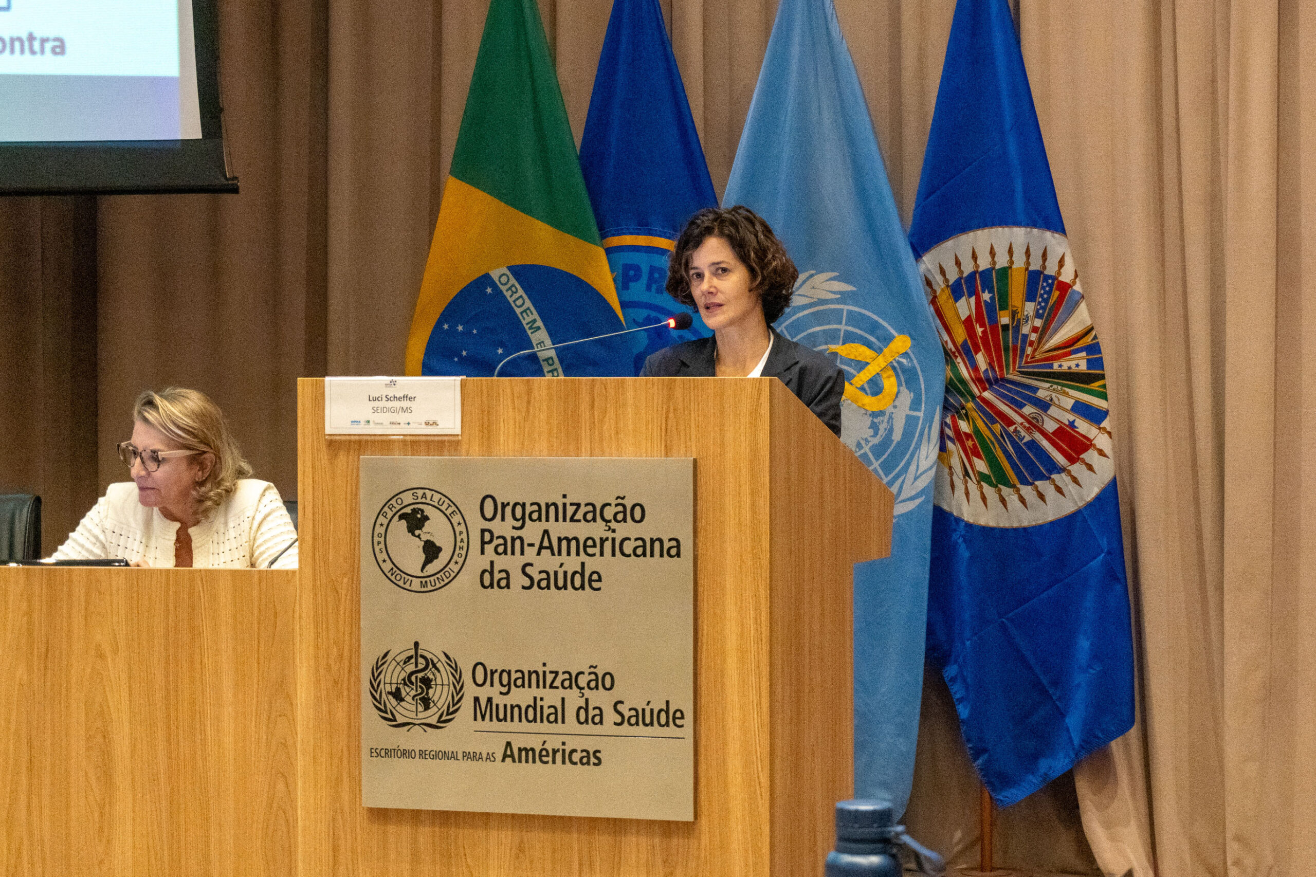 6ª Reunião dos Comitês de Gestão de Indicadores da Ripsa​ - 2025.05.15 e 16